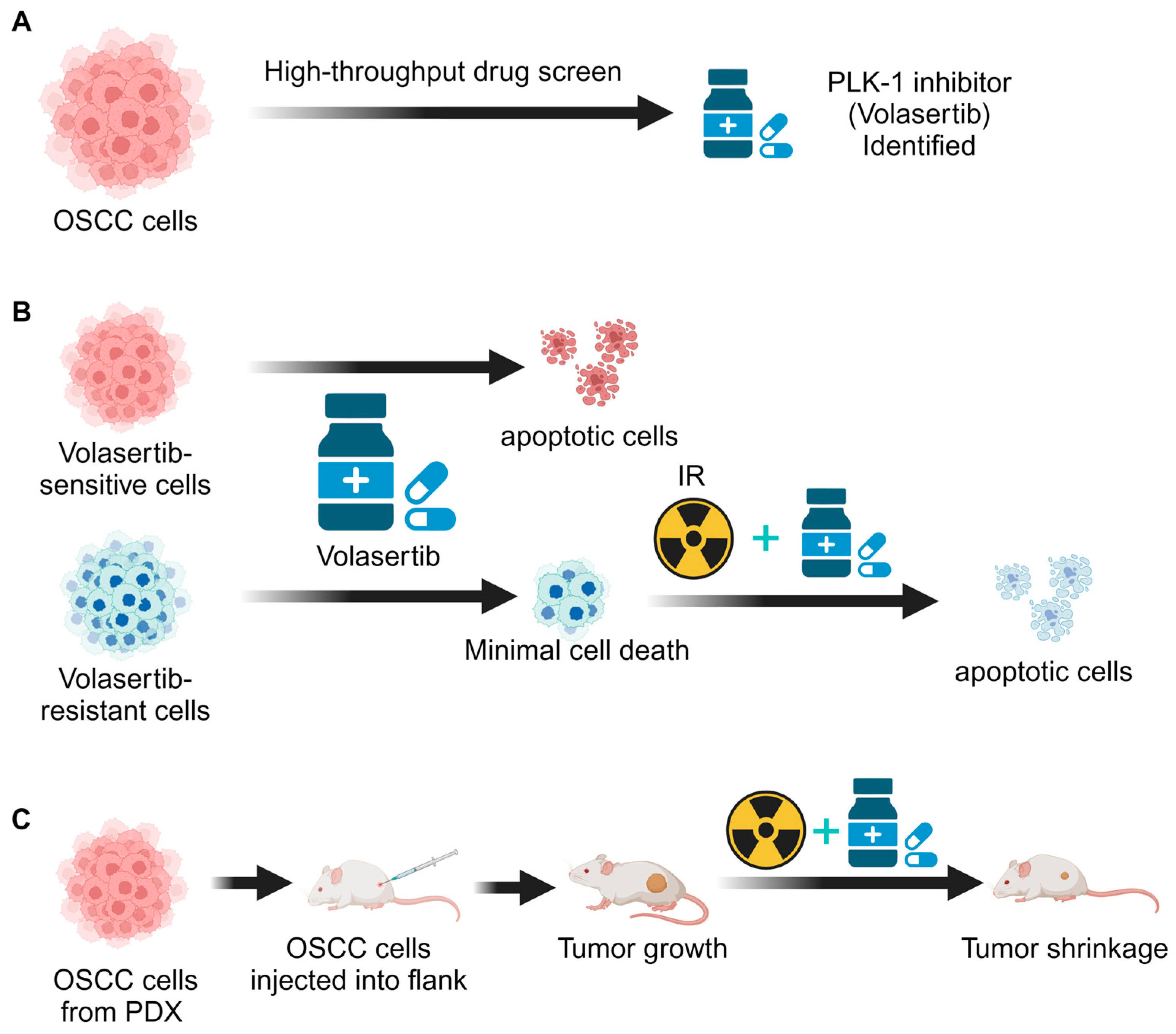 Biomedicines 12 00503 g007