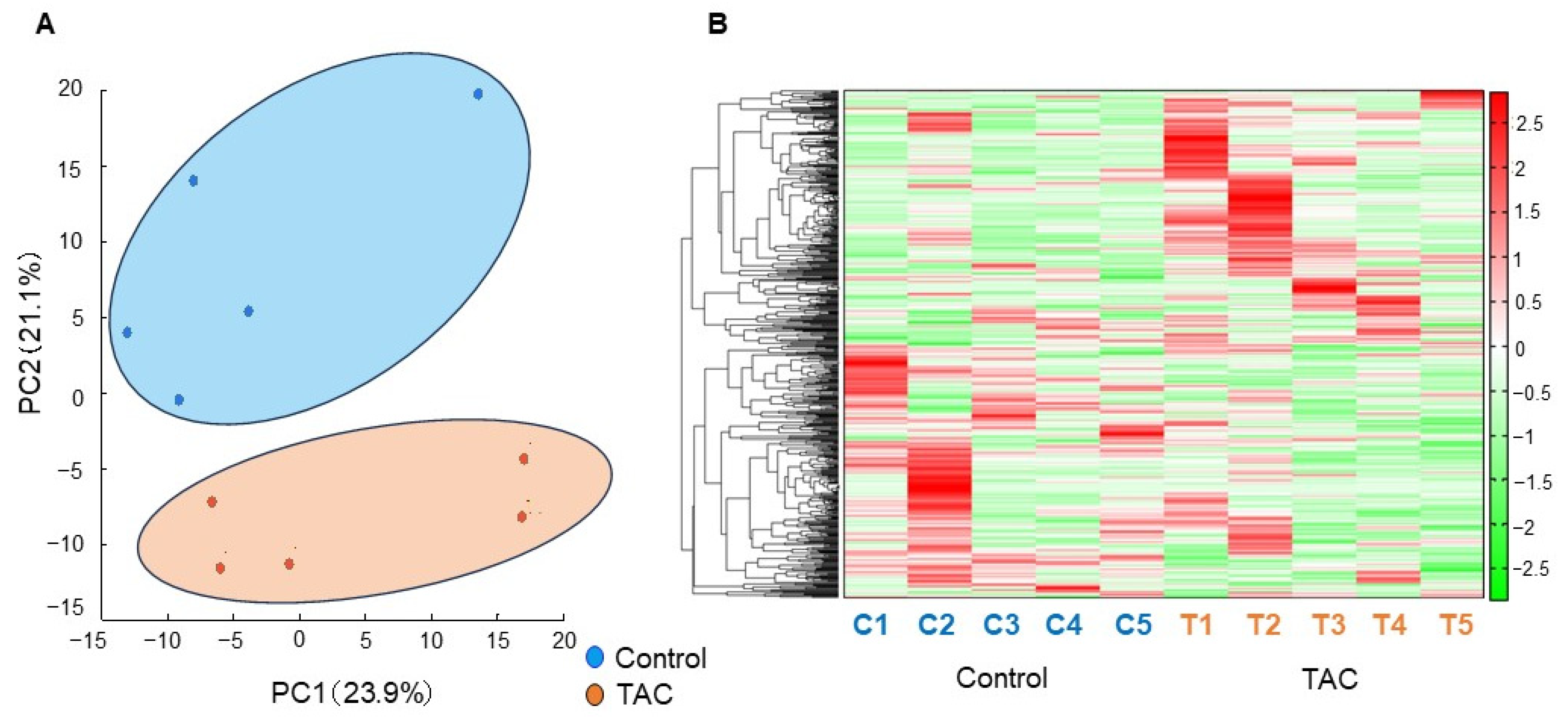 Biomedicines 12 00521 g003