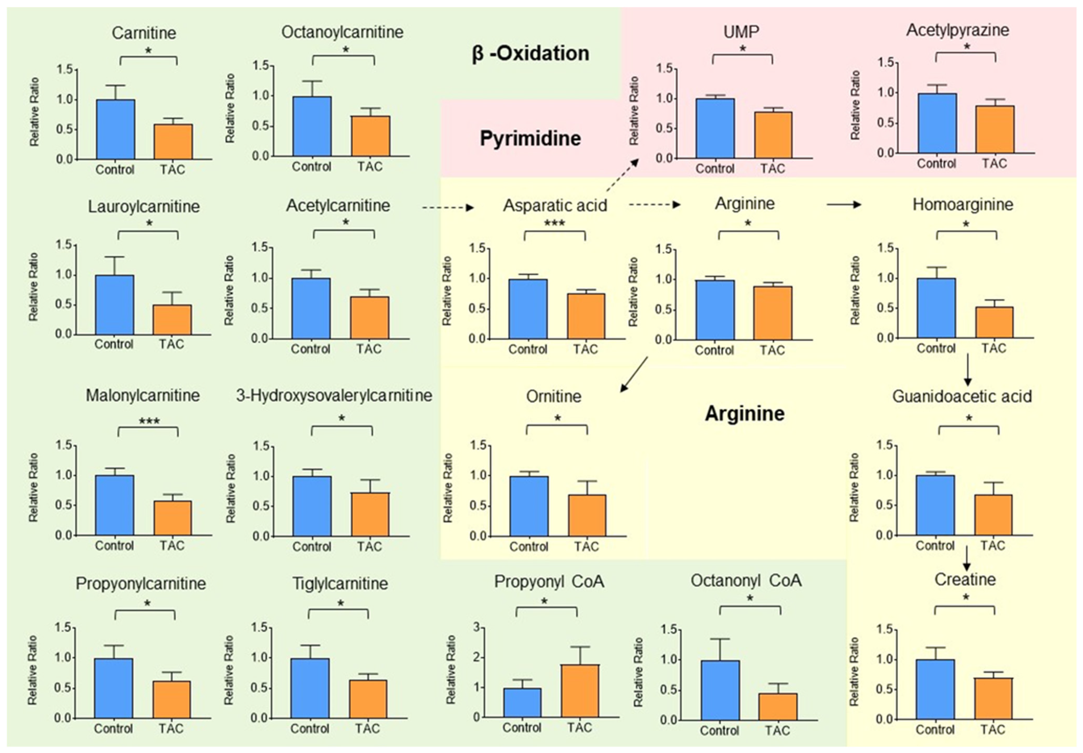 Biomedicines 12 00521 g005