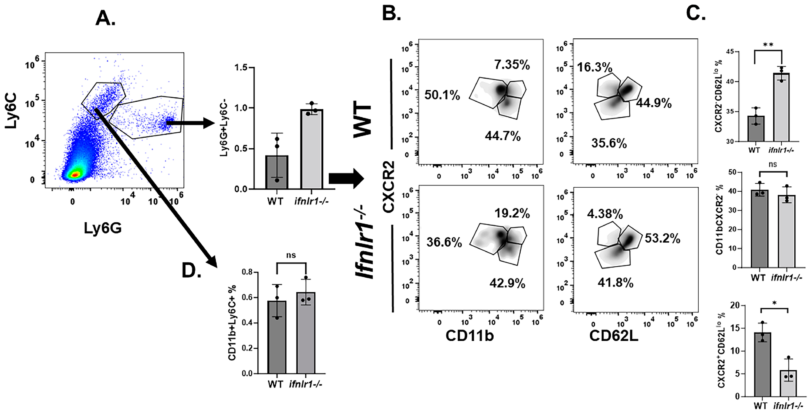 Biomedicines 12 00526 g004