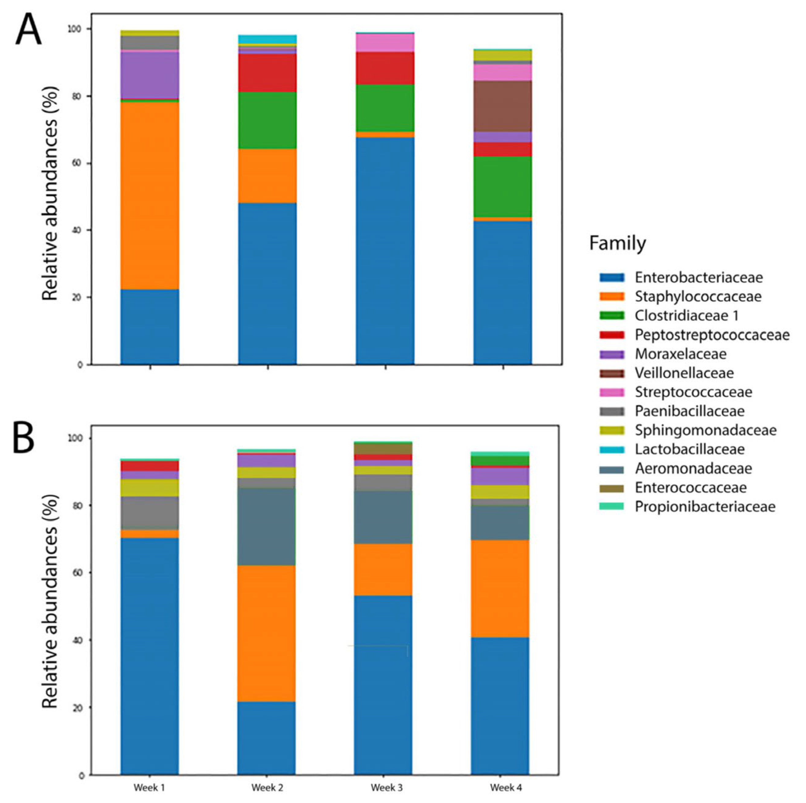 Biomedicines 12 00539 g004
