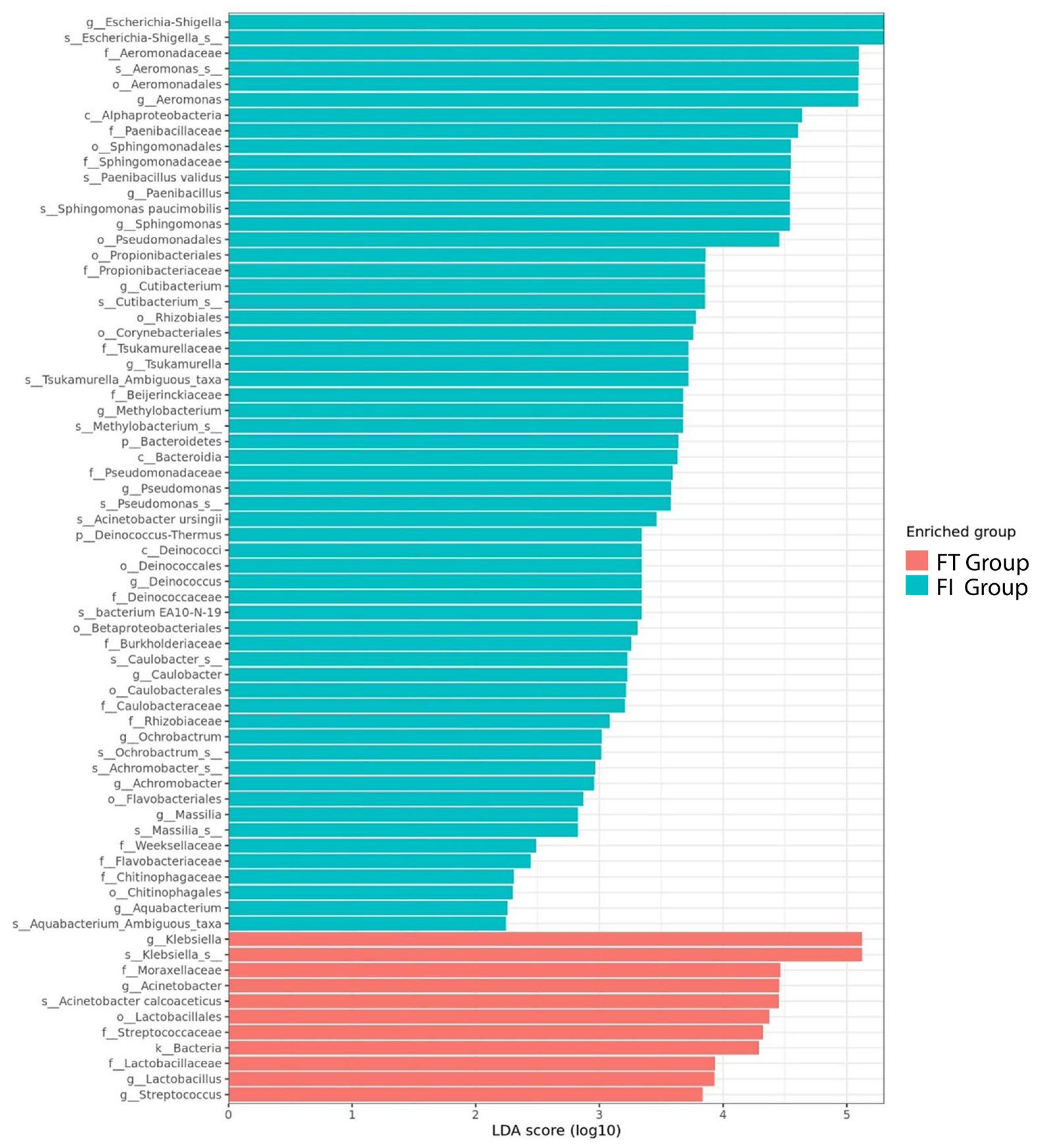 Biomedicines 12 00539 g007