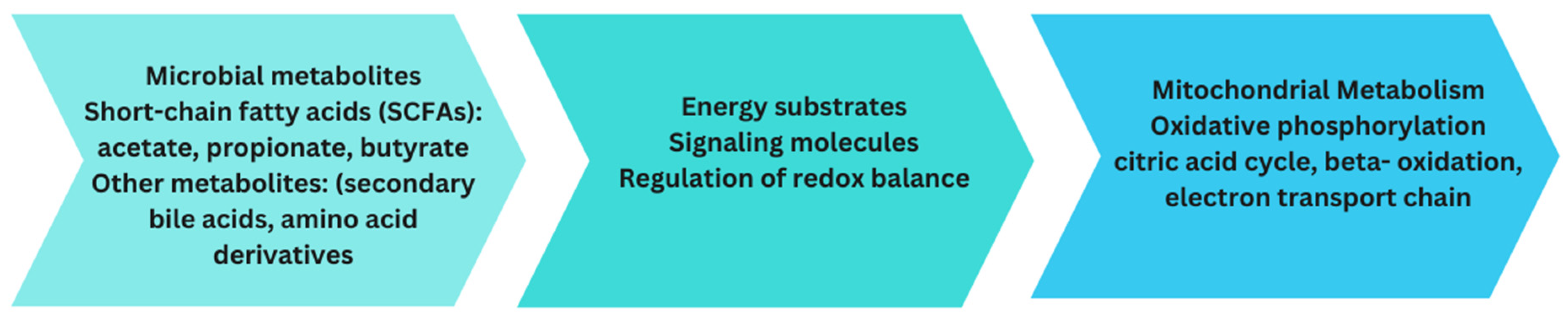 Biomedicines 12 00550 g002