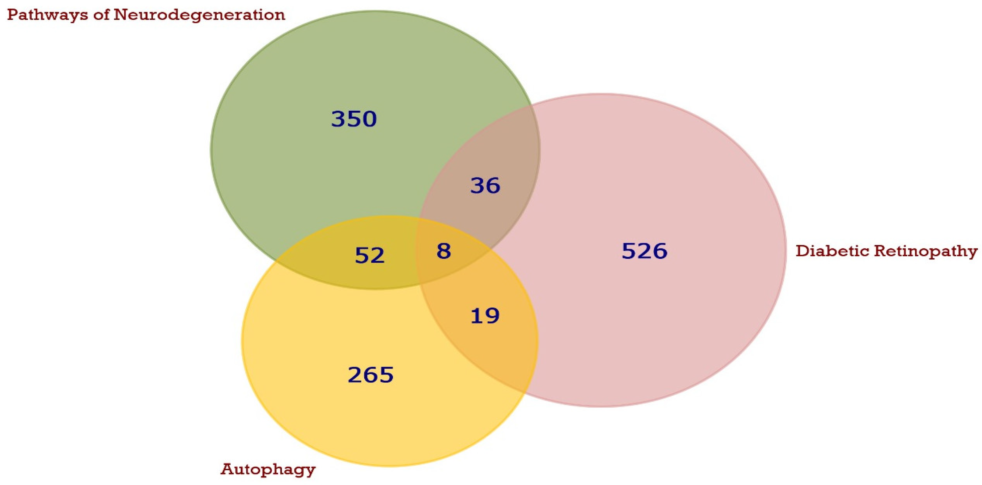 Biomedicines 12 00552 g002