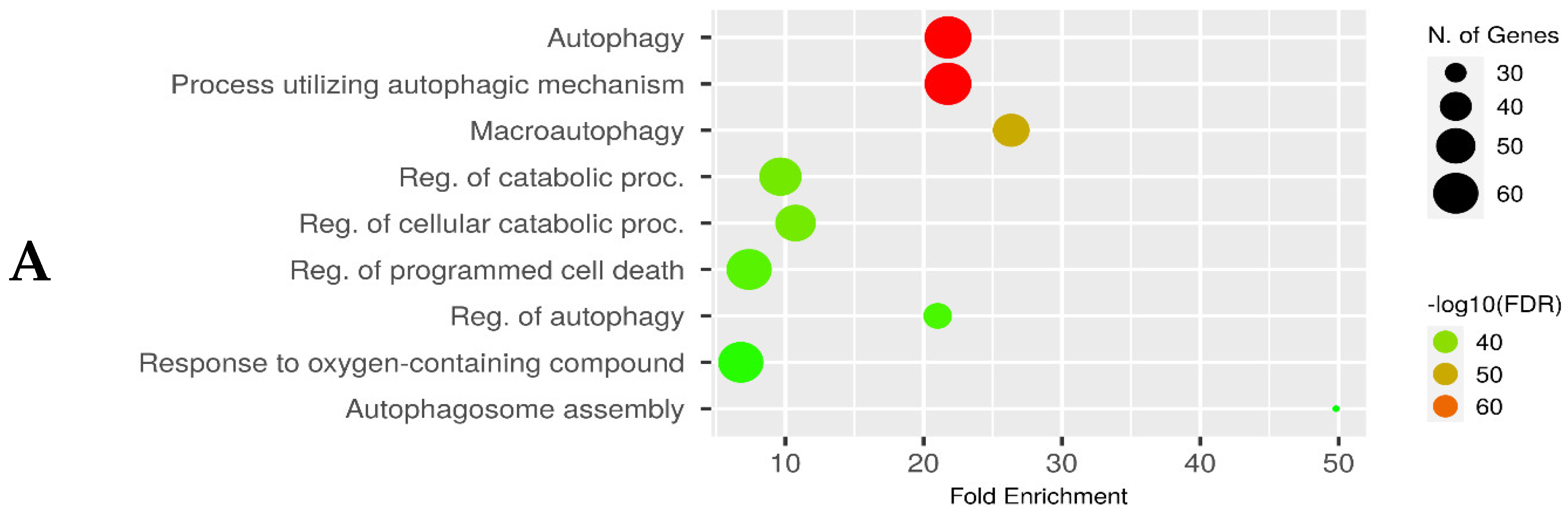 Biomedicines 12 00552 g003a