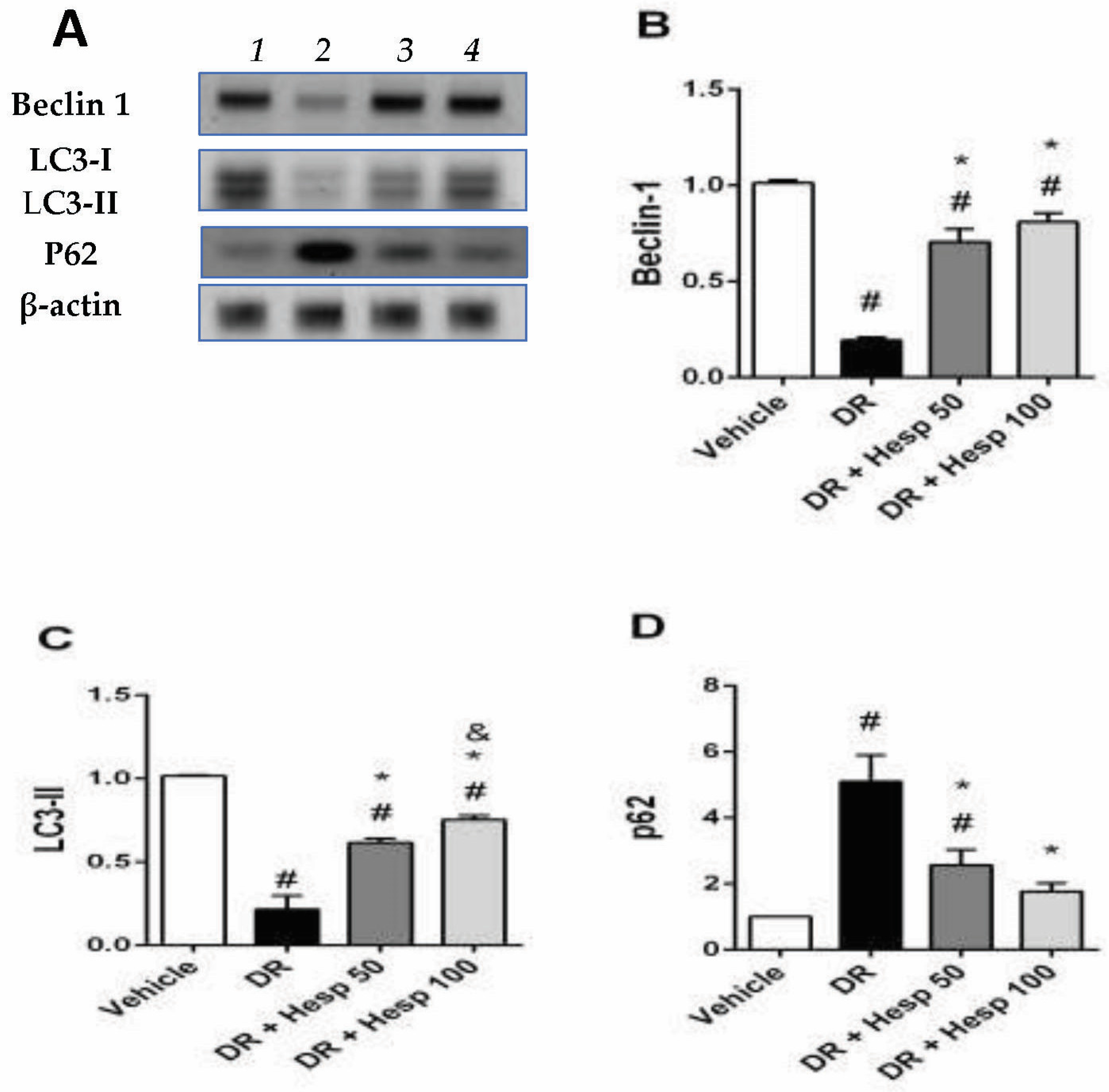 Biomedicines 12 00552 g007