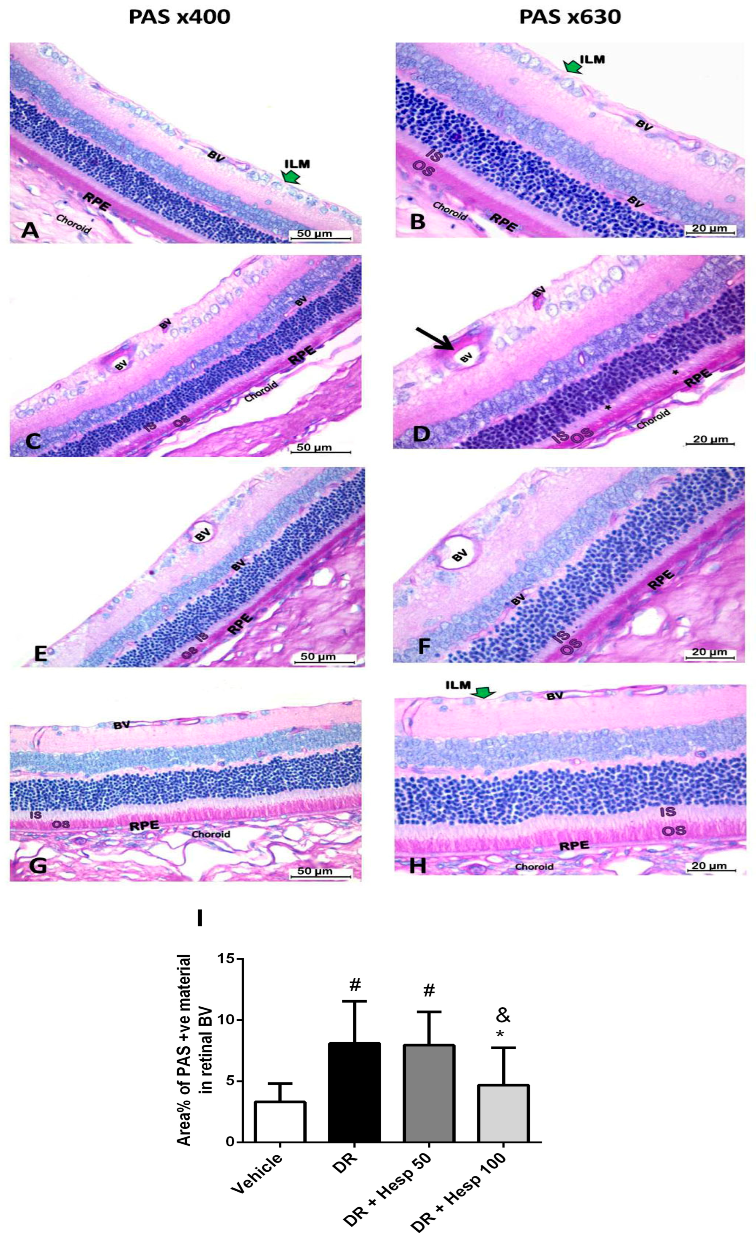 Biomedicines 12 00552 g009