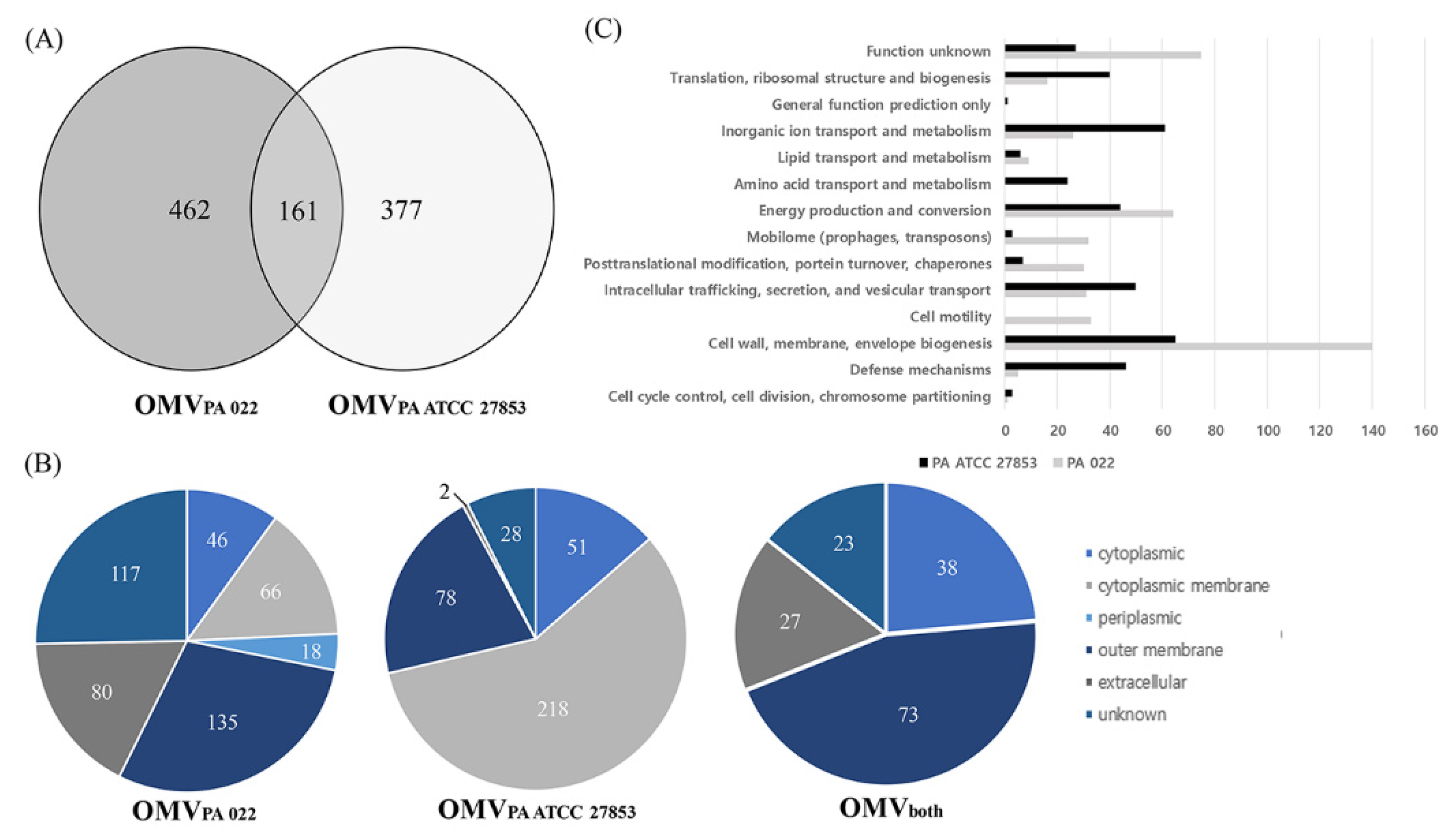 Biomedicines 12 00556 g004 Biomedicines 12 00556 g004