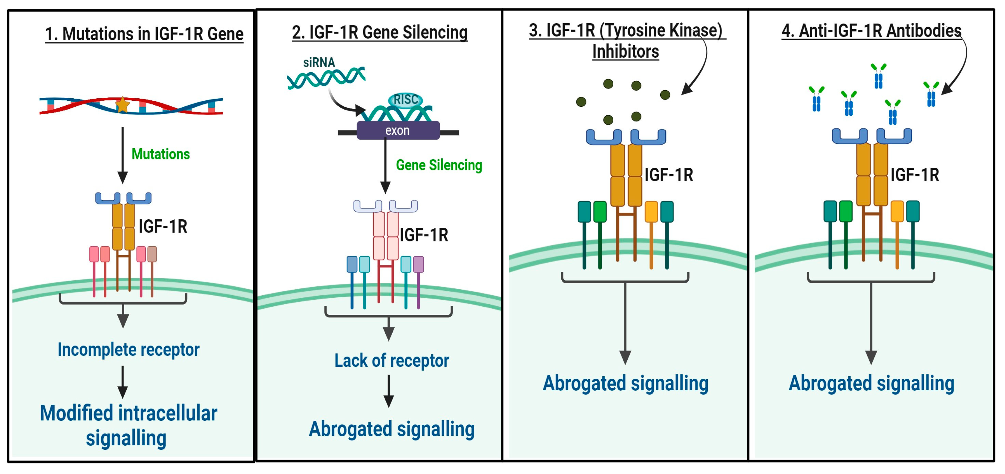 Biomedicines 12 00563 g003