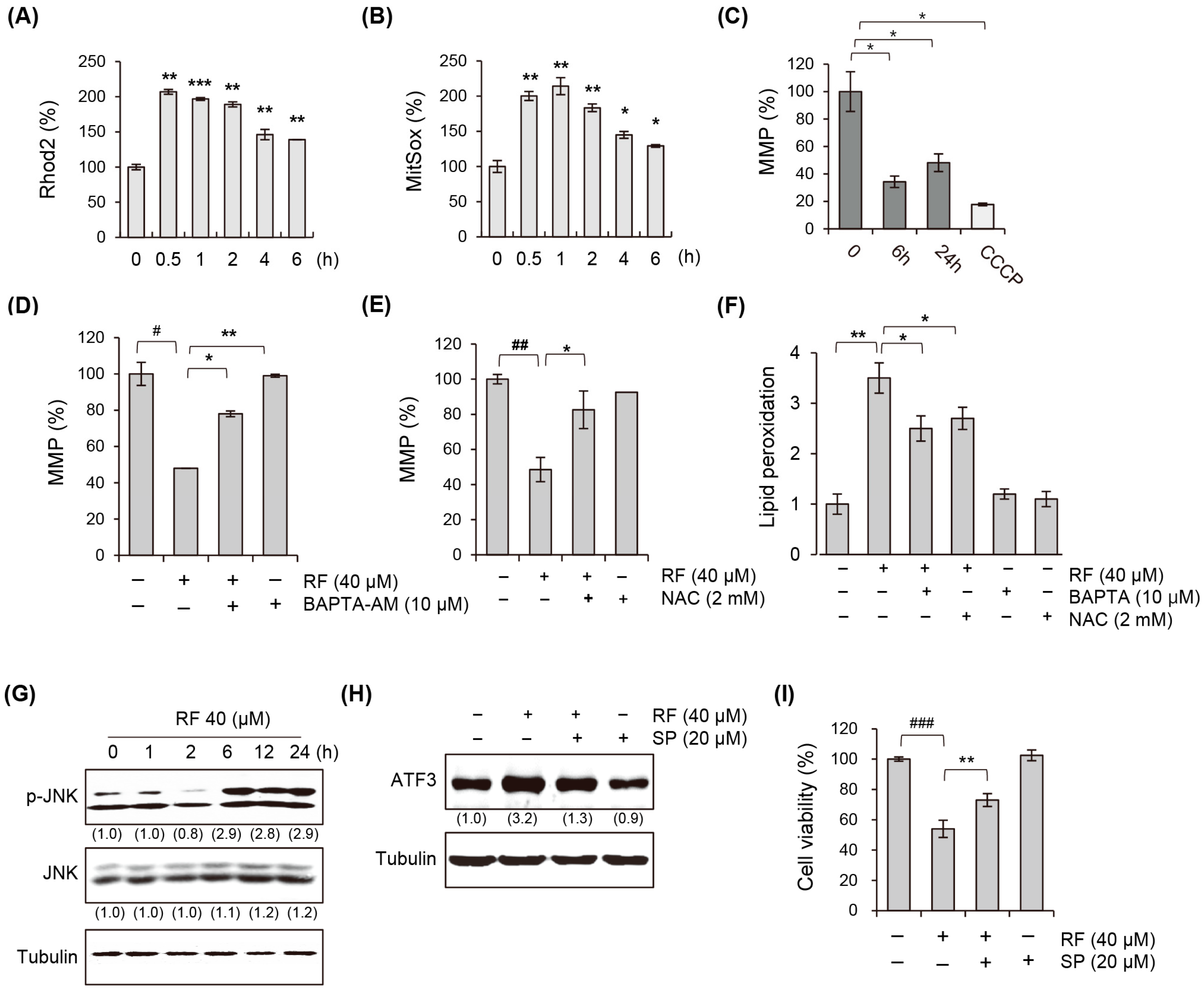 Biomedicines 12 00576 g006