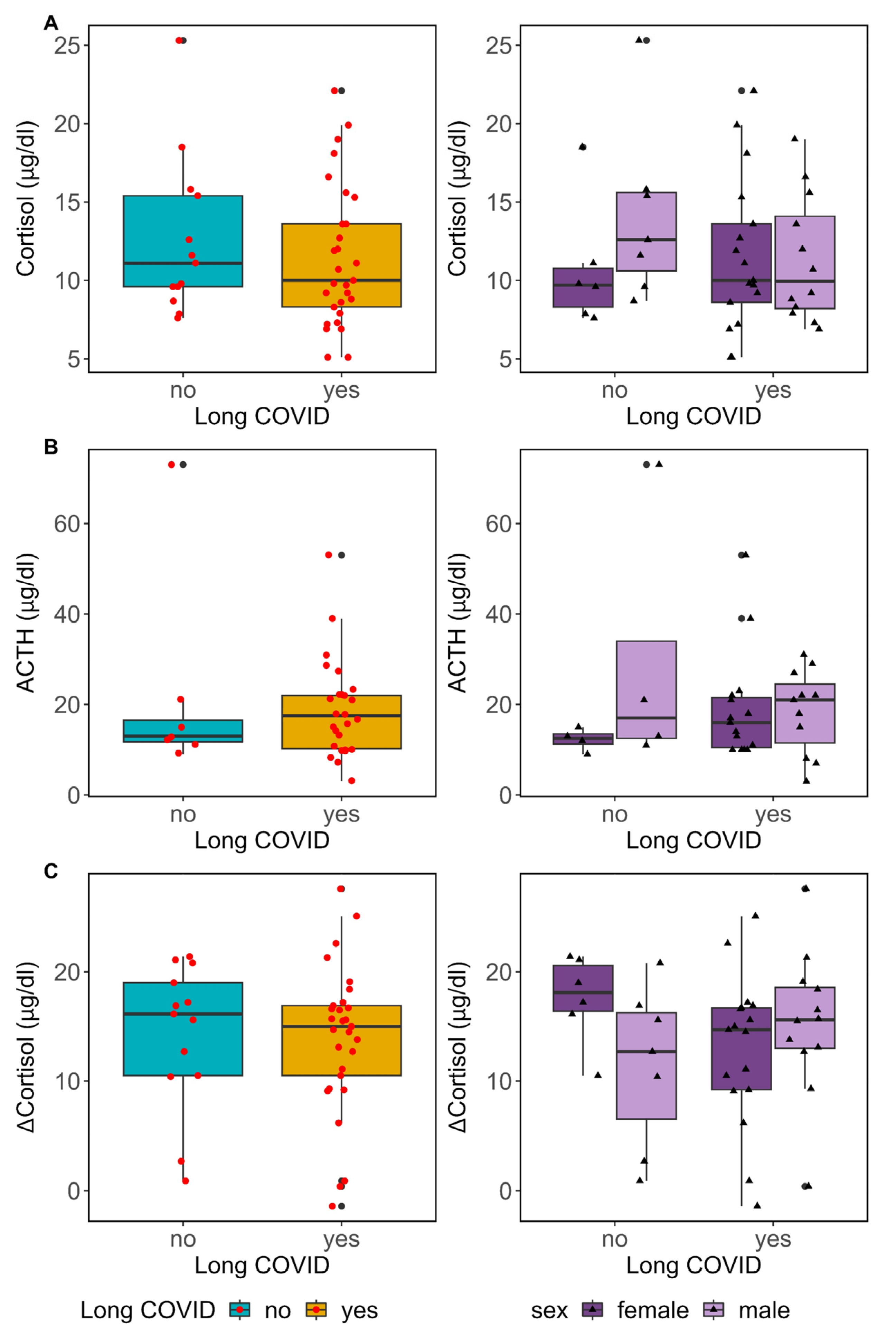 Biomedicines 12 00581 g004