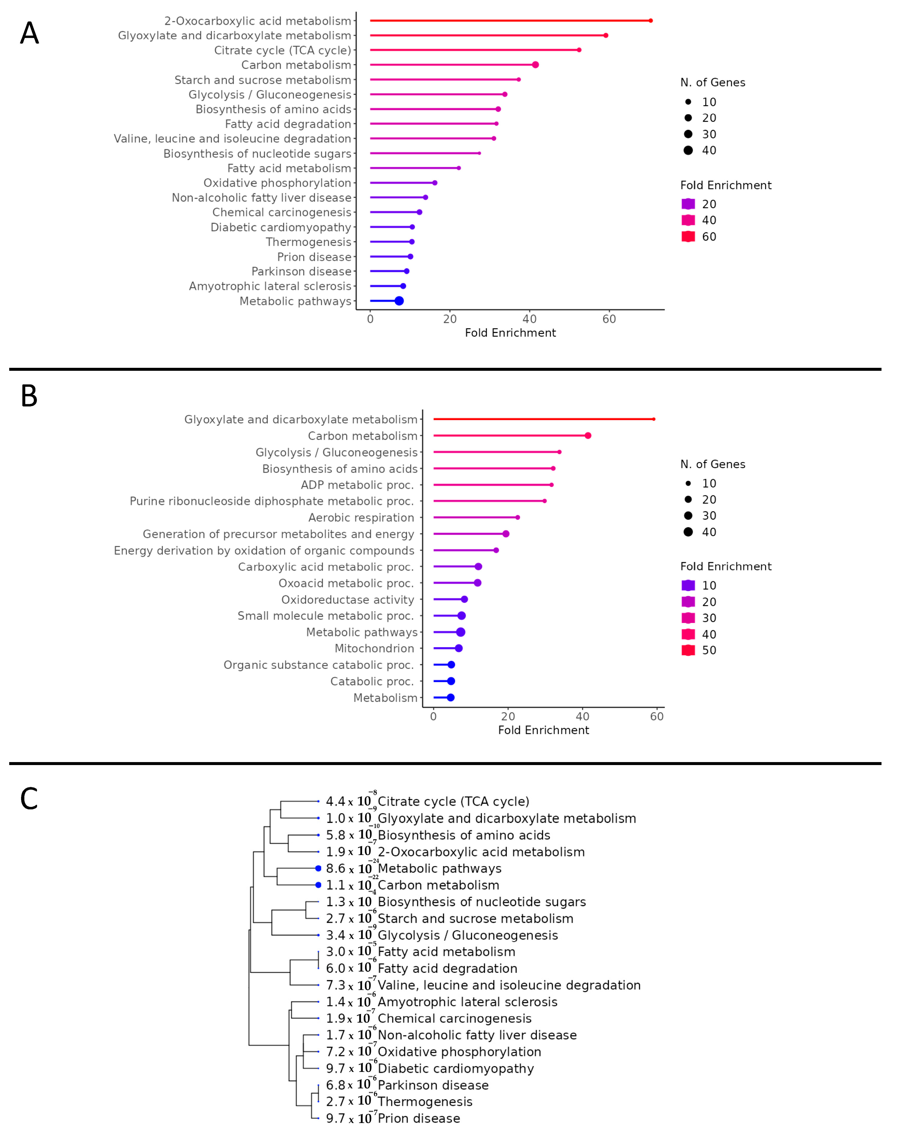 Biomedicines 12 00588 g003