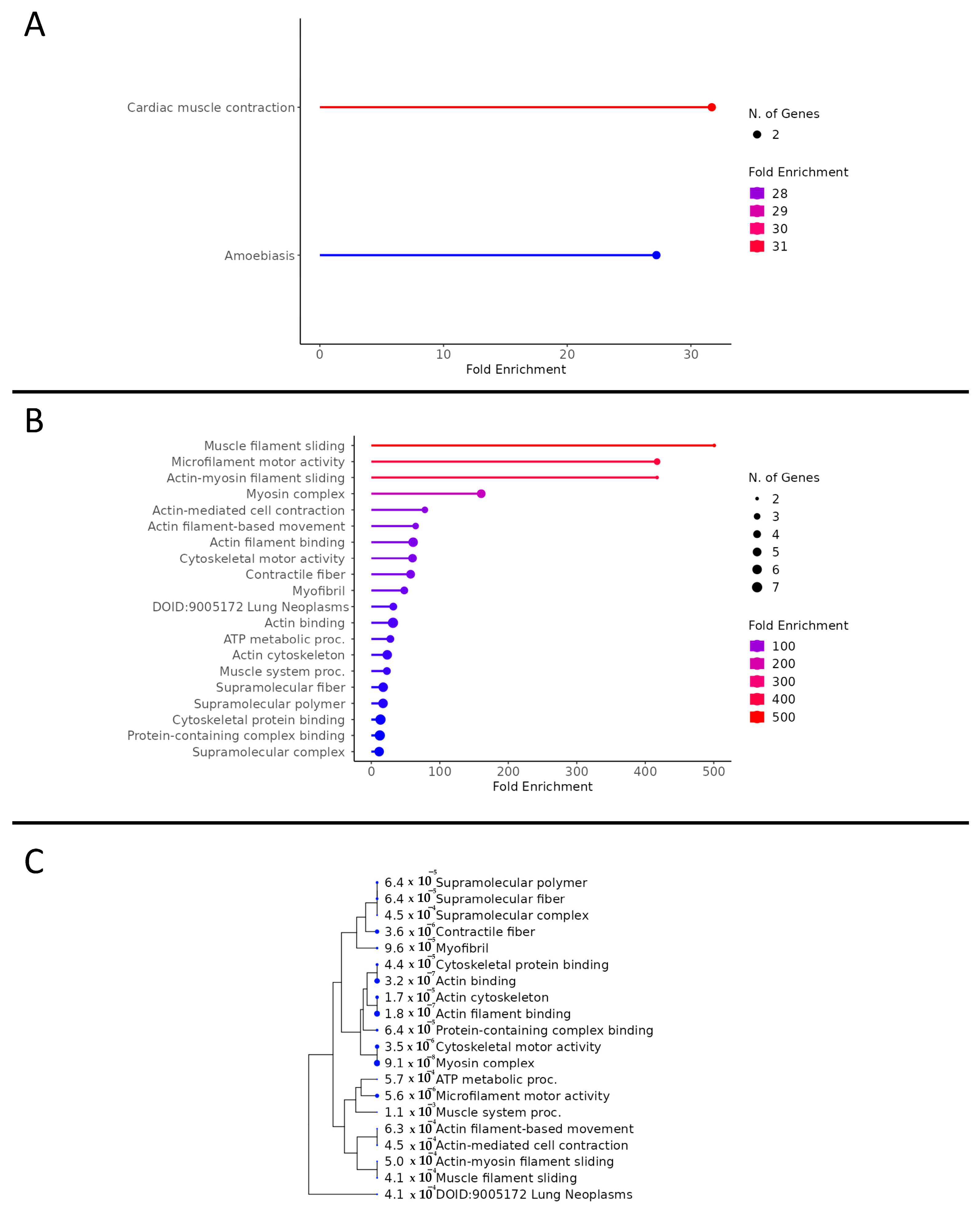 Biomedicines 12 00588 g004