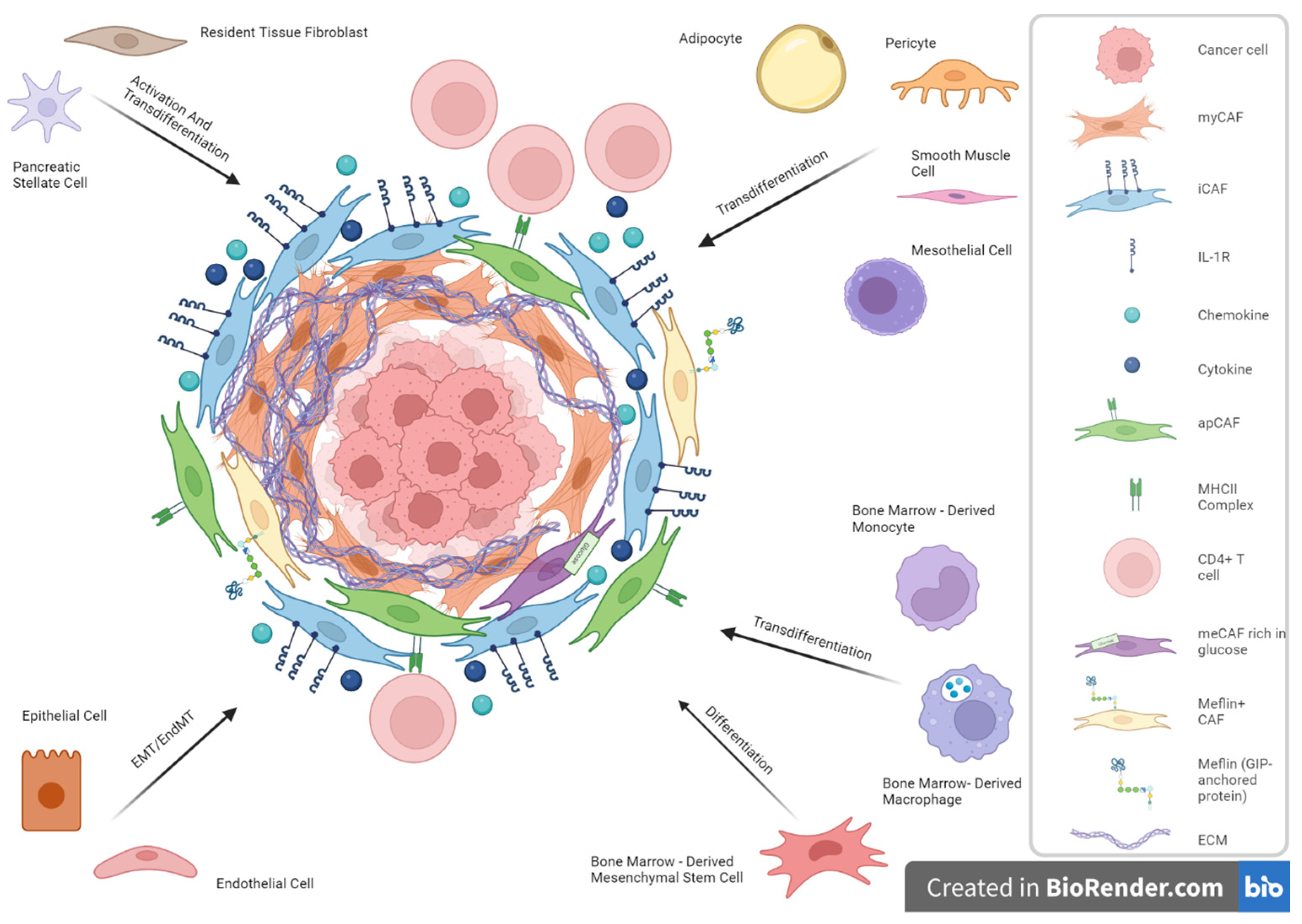 Biomedicines 12 00591 g001