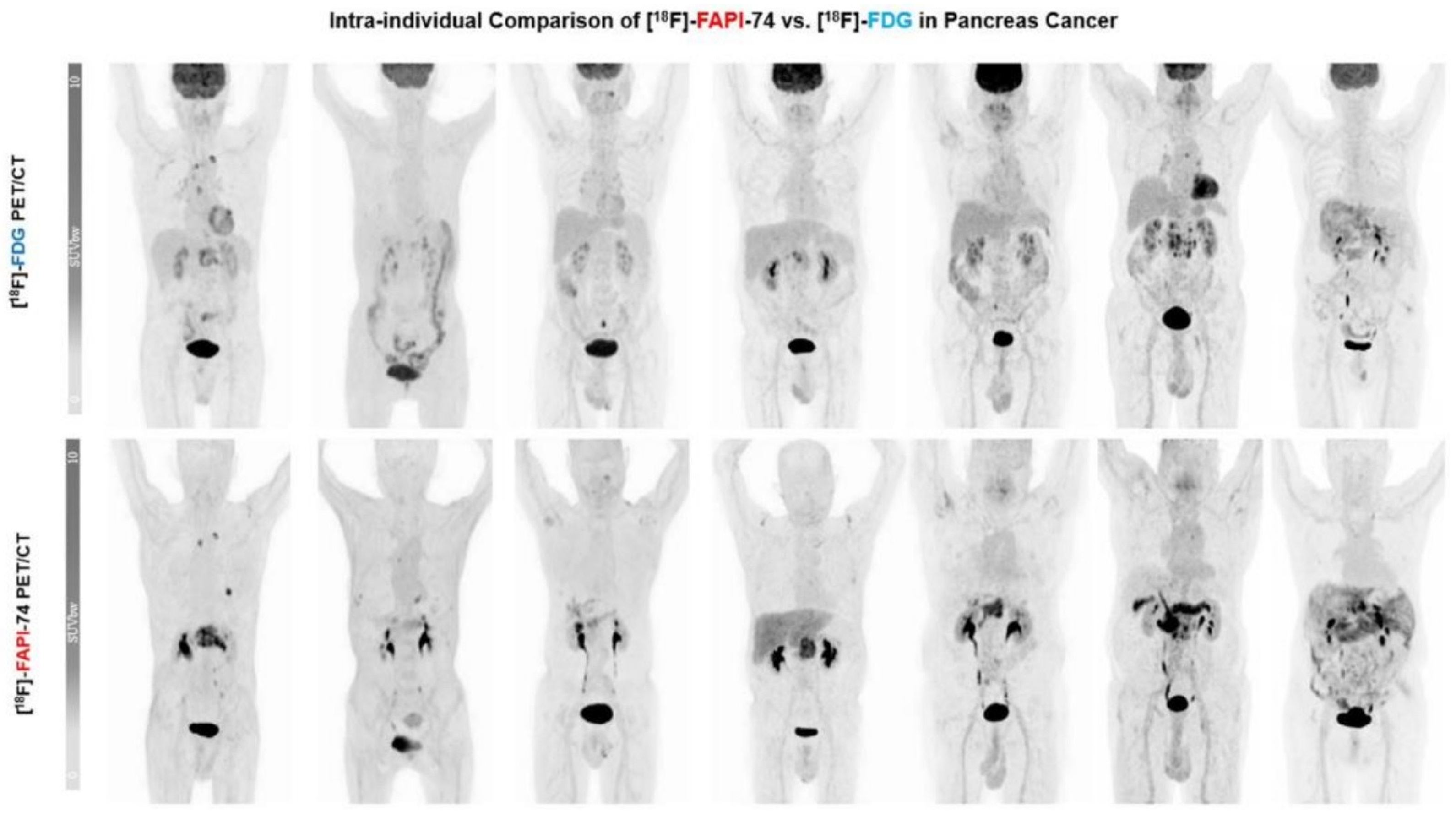 Biomedicines 12 00591 g002