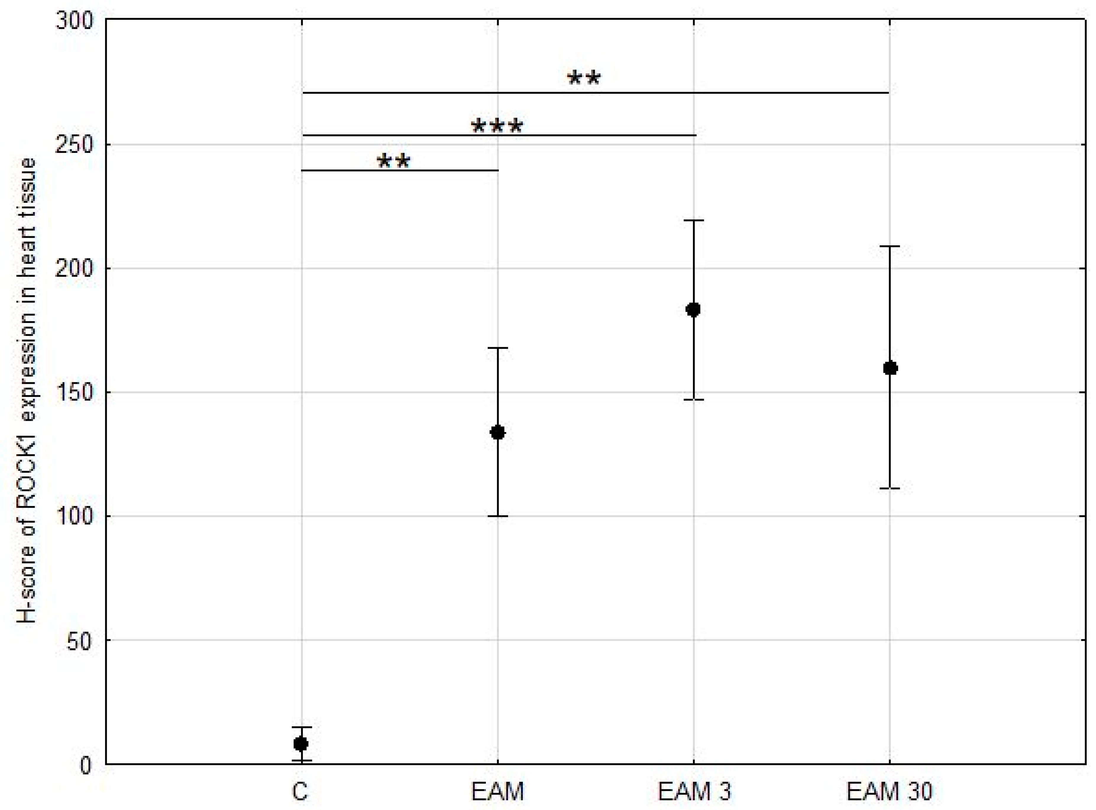 Biomedicines 12 00596 g003