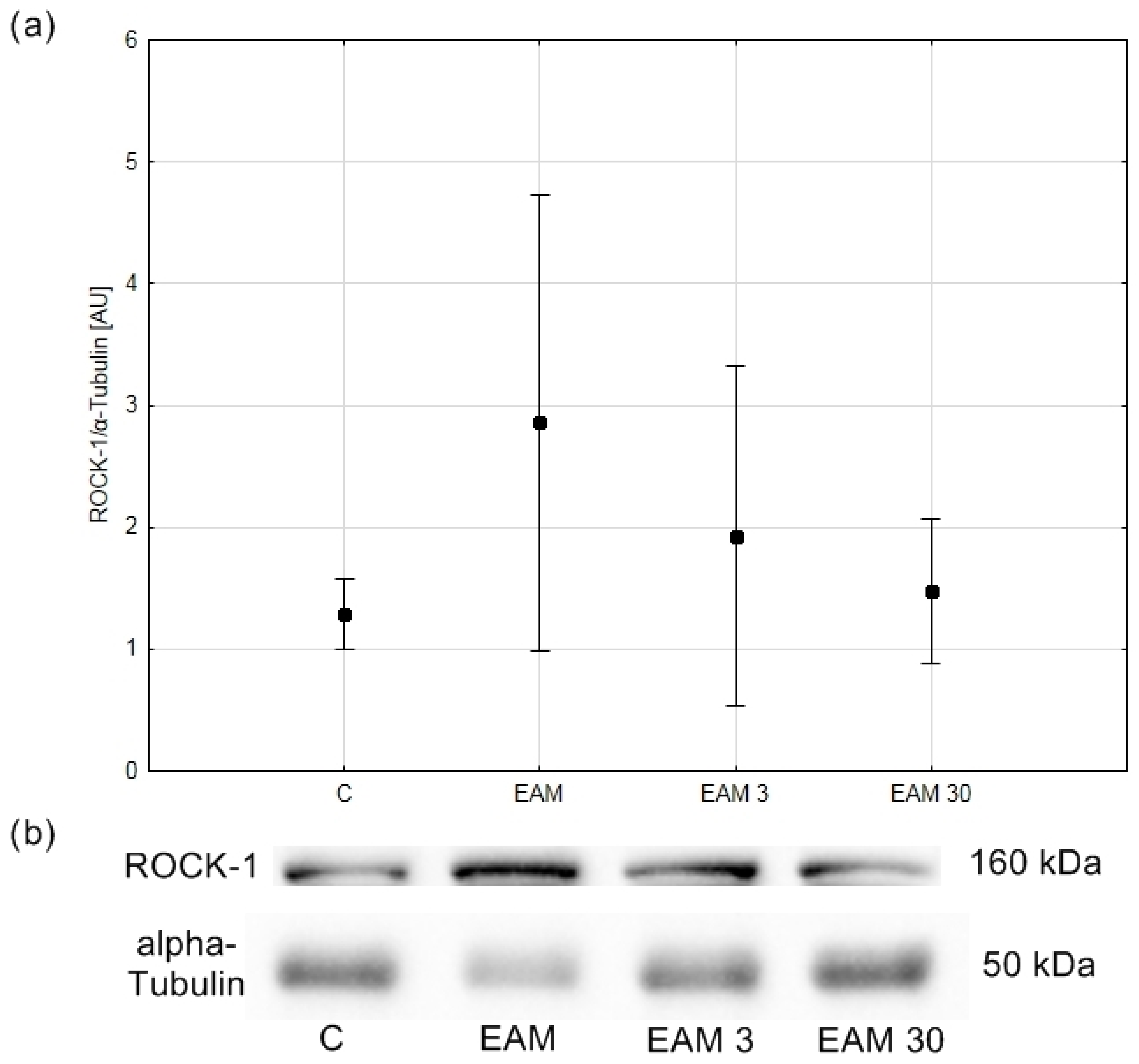 Biomedicines 12 00596 g005