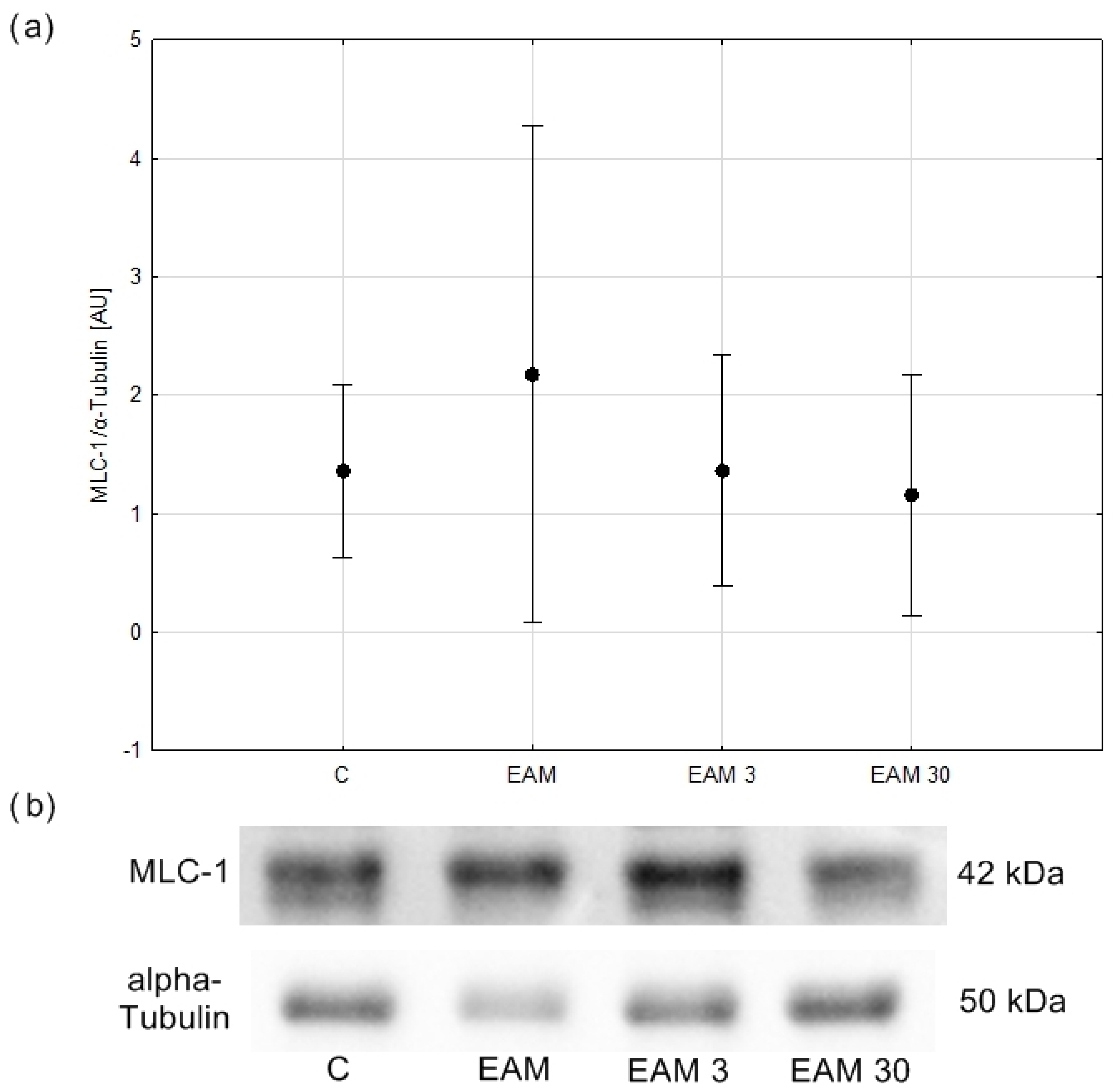 Biomedicines 12 00596 g007