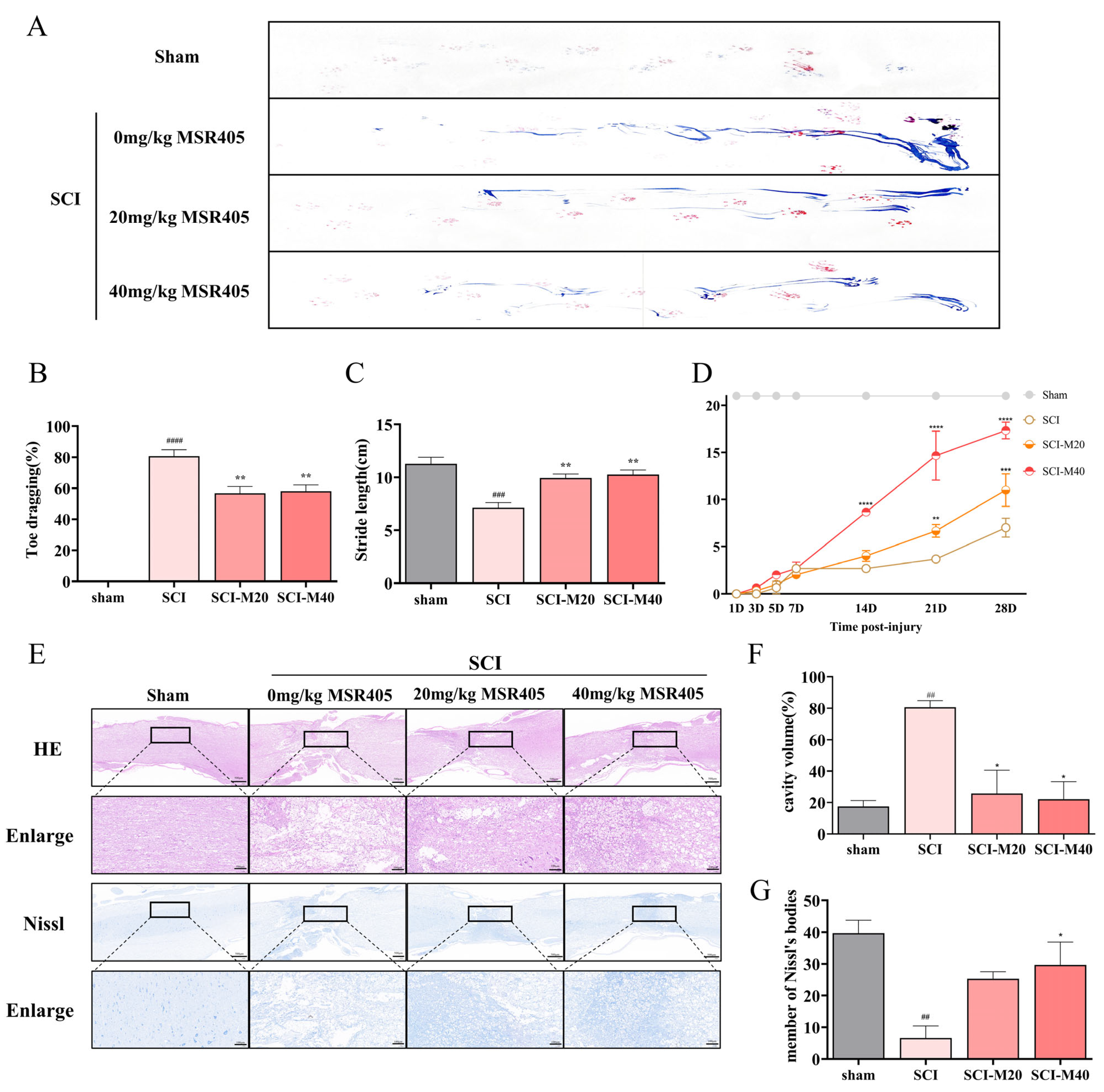 Biomedicines 12 00614 g002