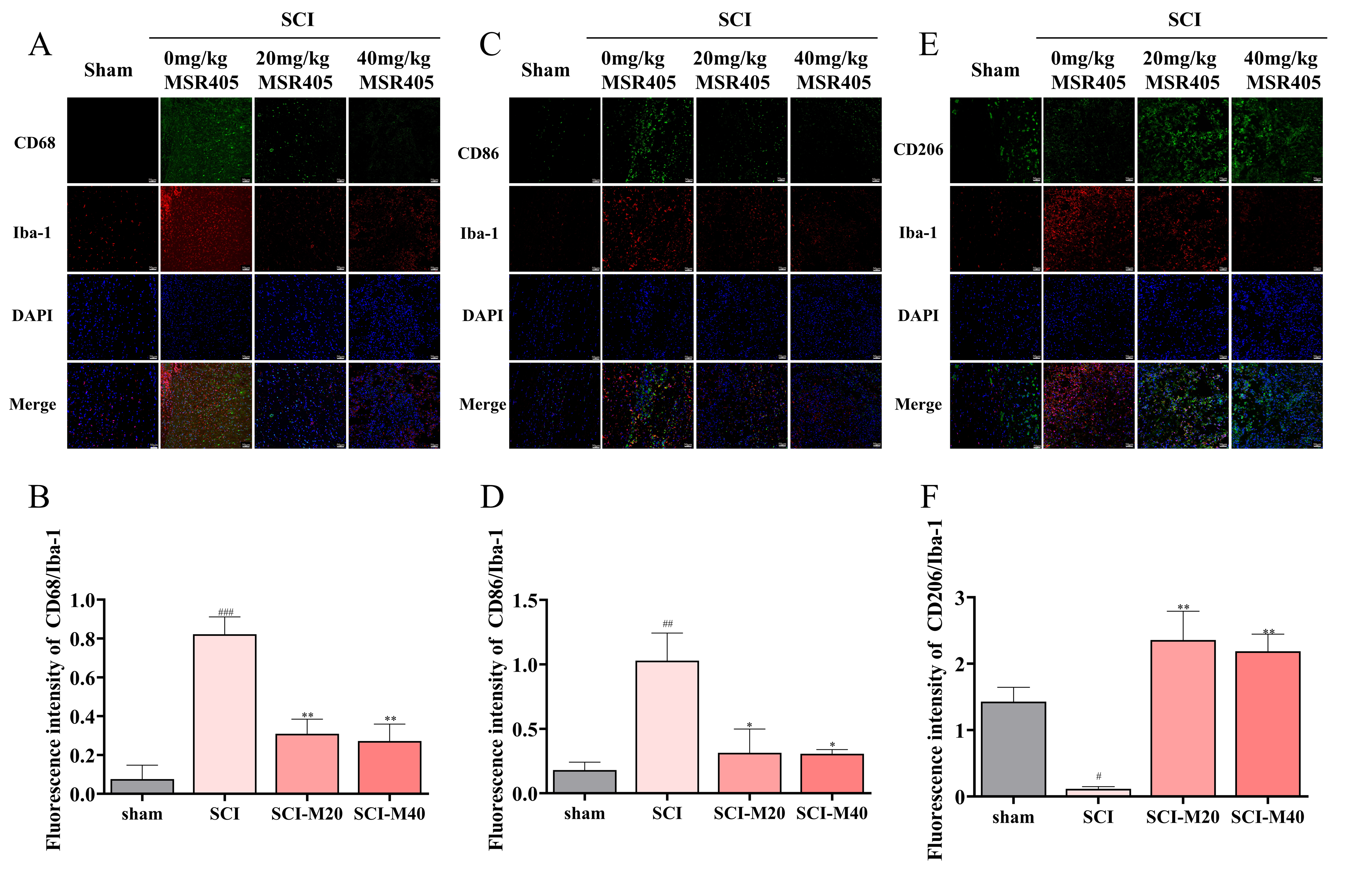 Biomedicines 12 00614 g003