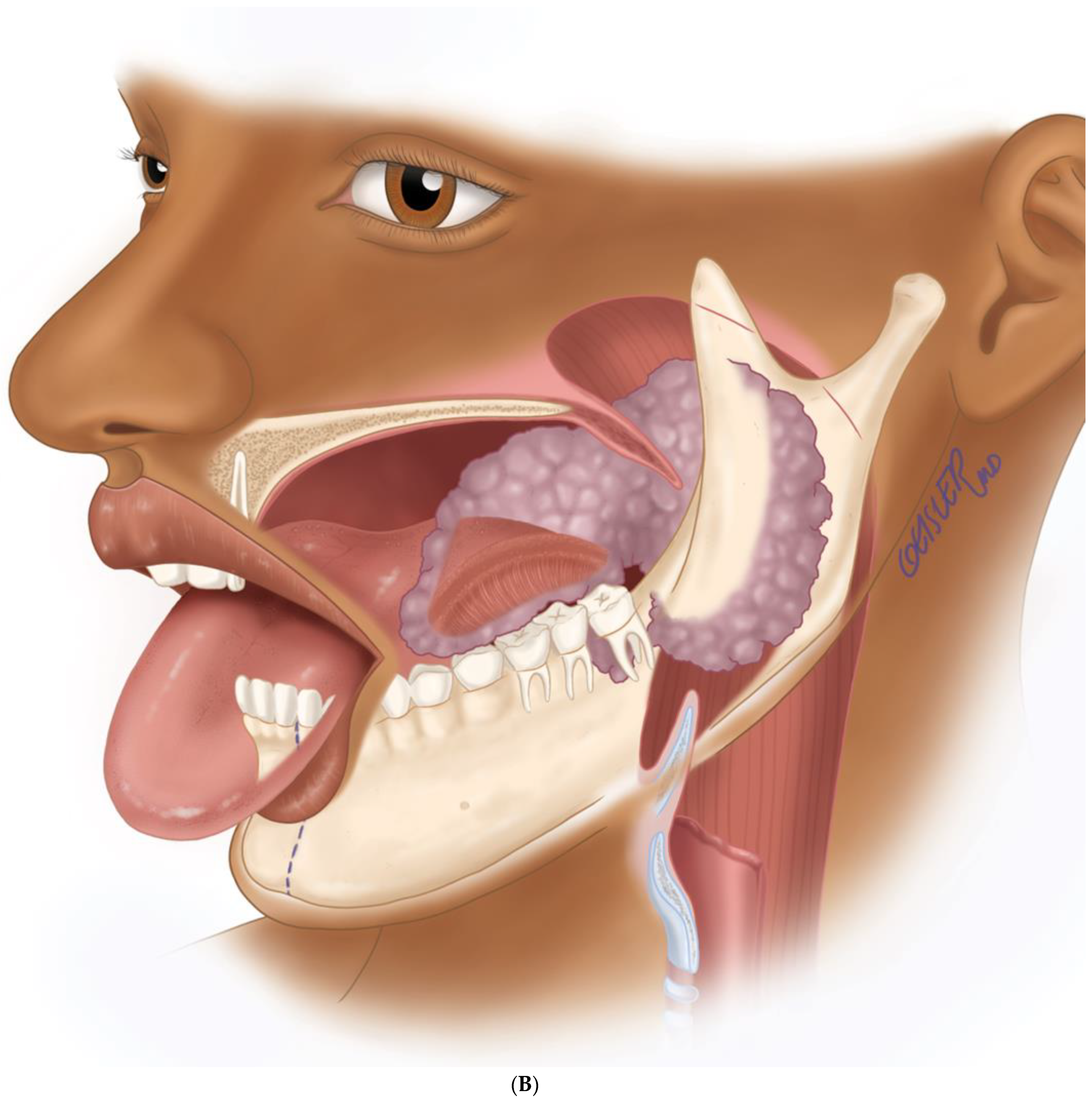 Biomedicines 12 00615 g006b