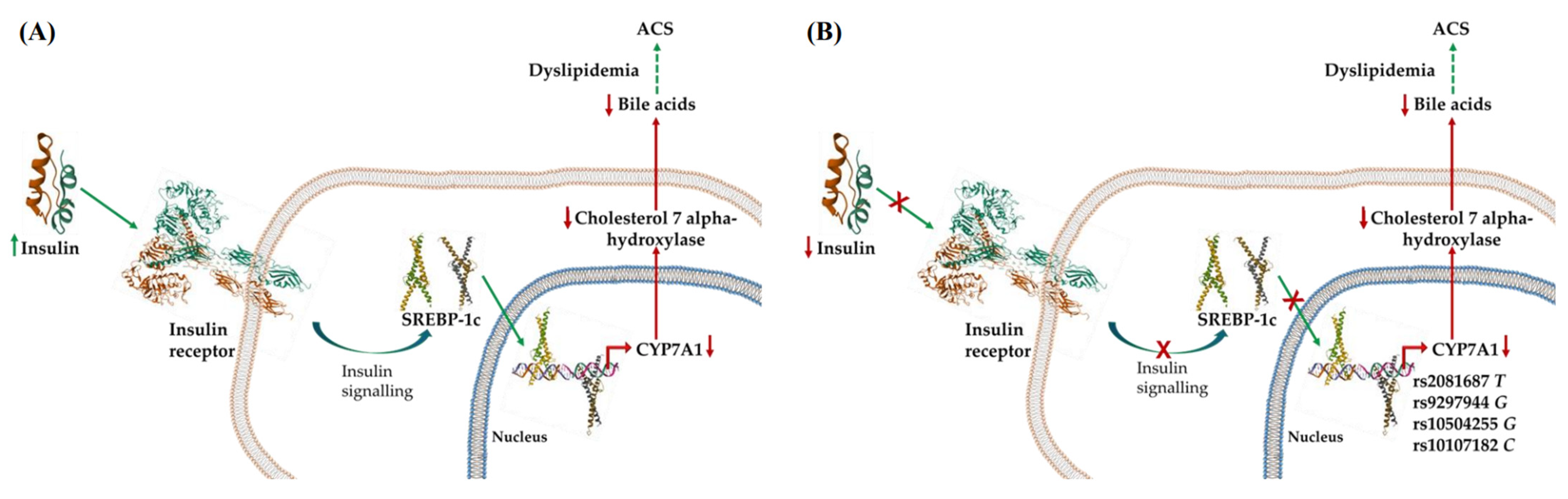 Biomedicines 12 00617 g001