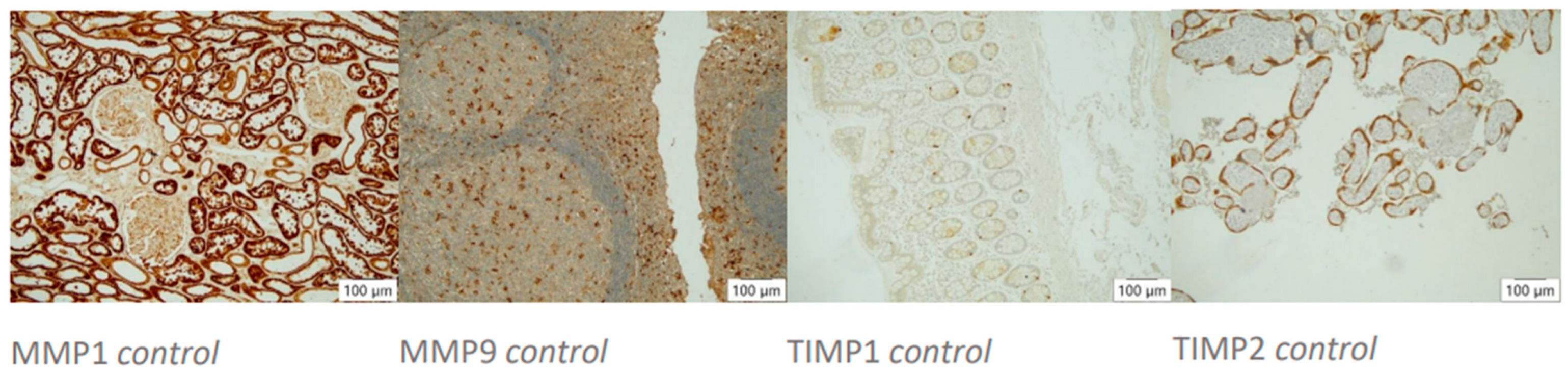 Biomedicines 12 00619 g001