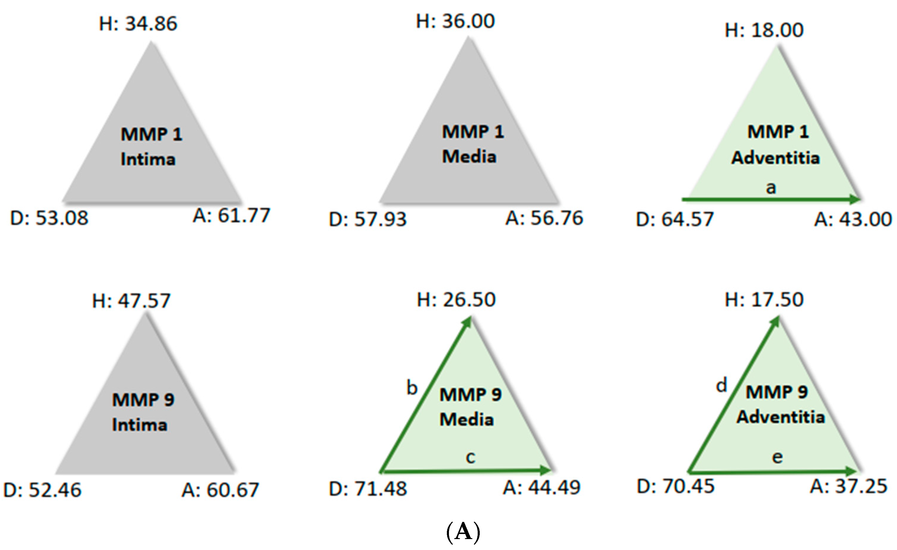 Biomedicines 12 00619 g006a