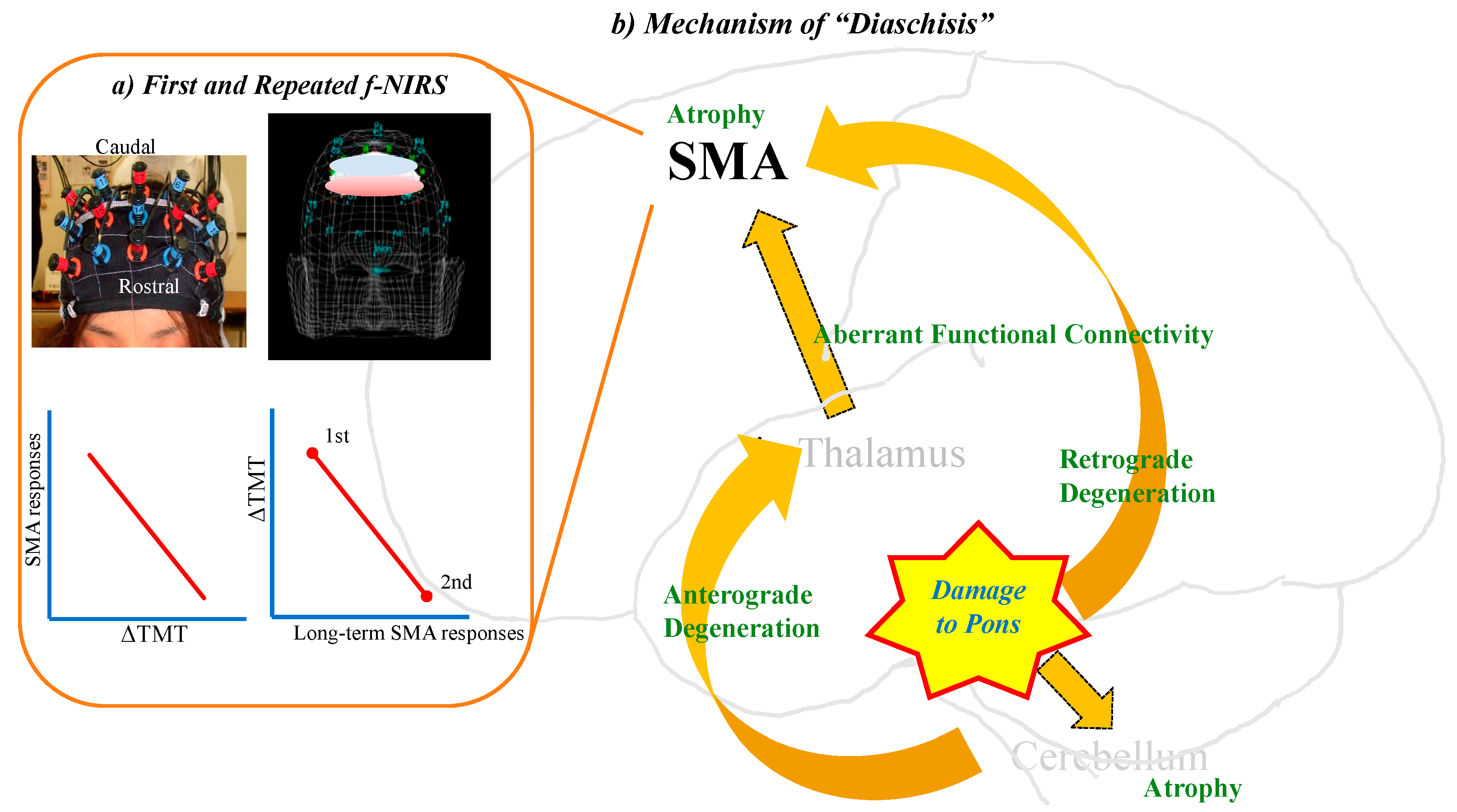 Biomedicines 12 00623 g003