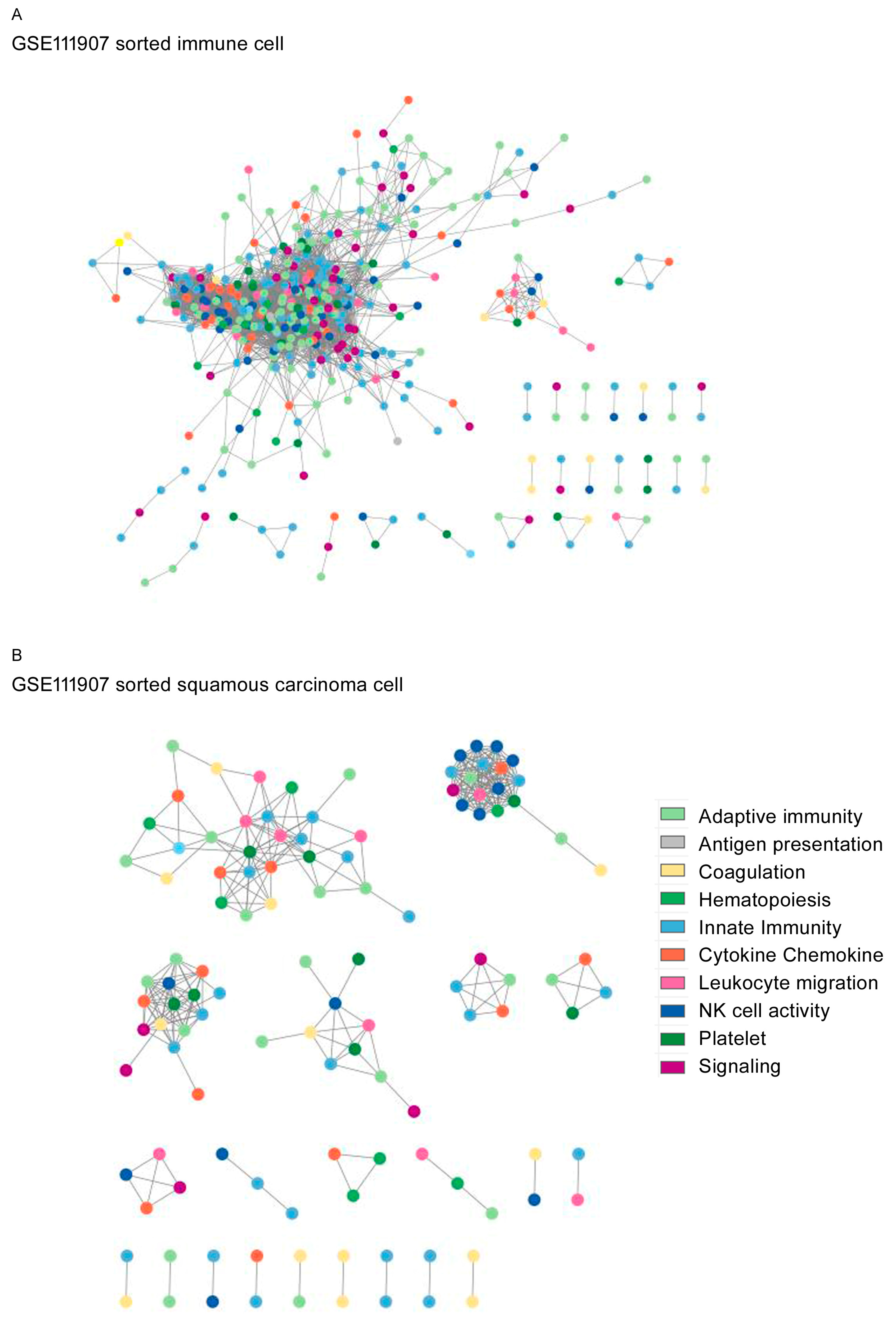 Biomedicines 12 00628 g005