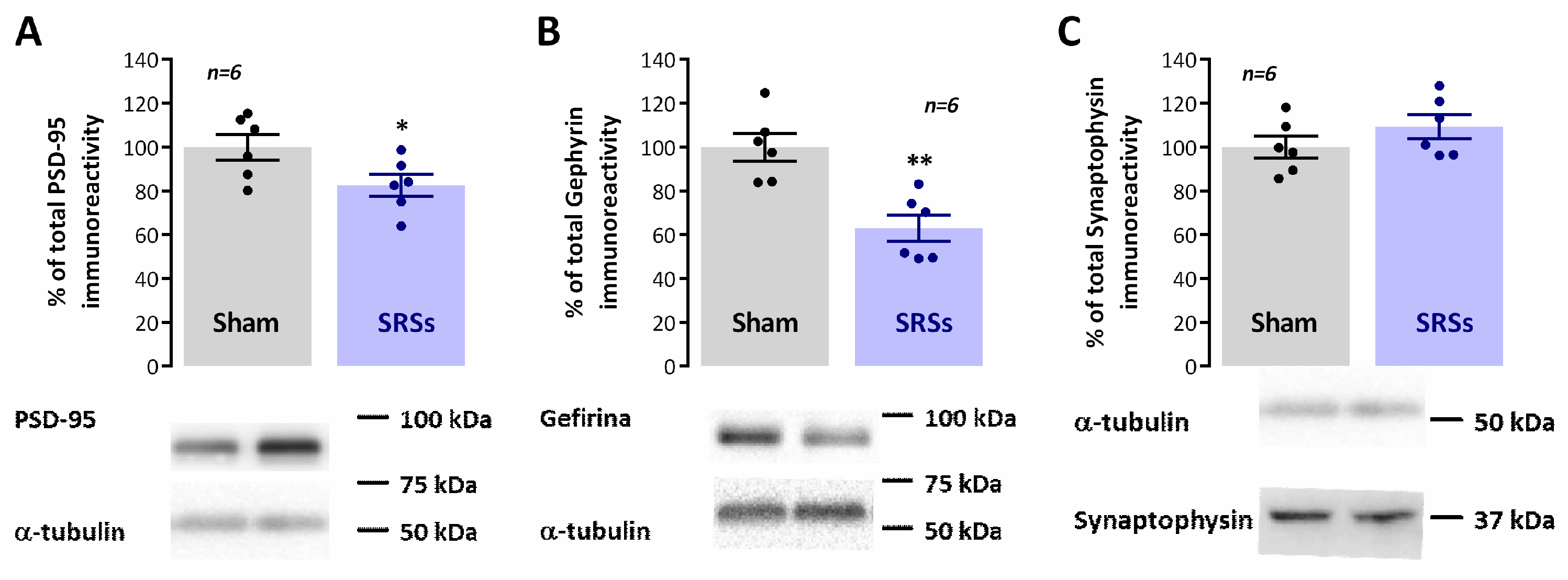 Biomedicines 12 00631 g004