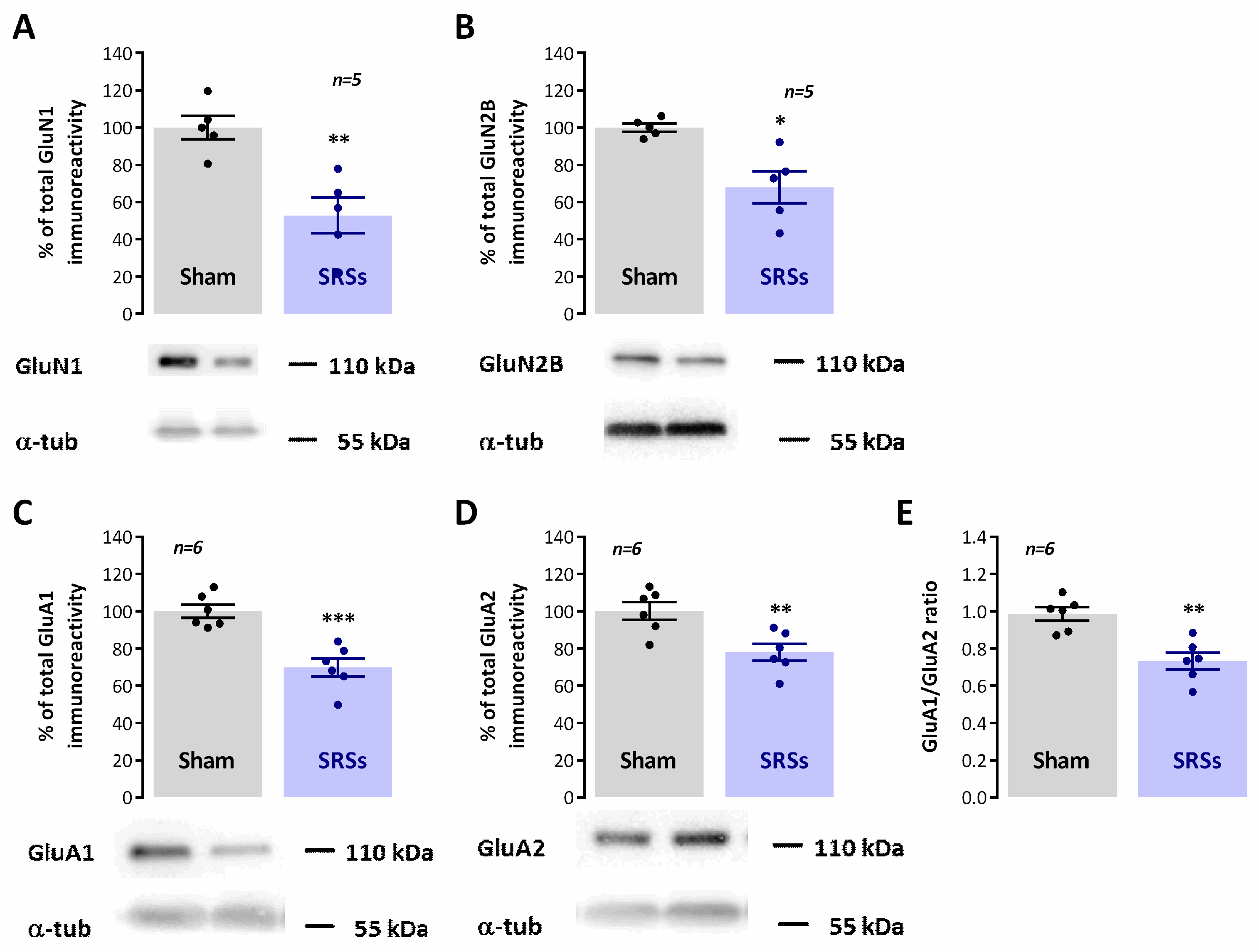 Biomedicines 12 00631 g005