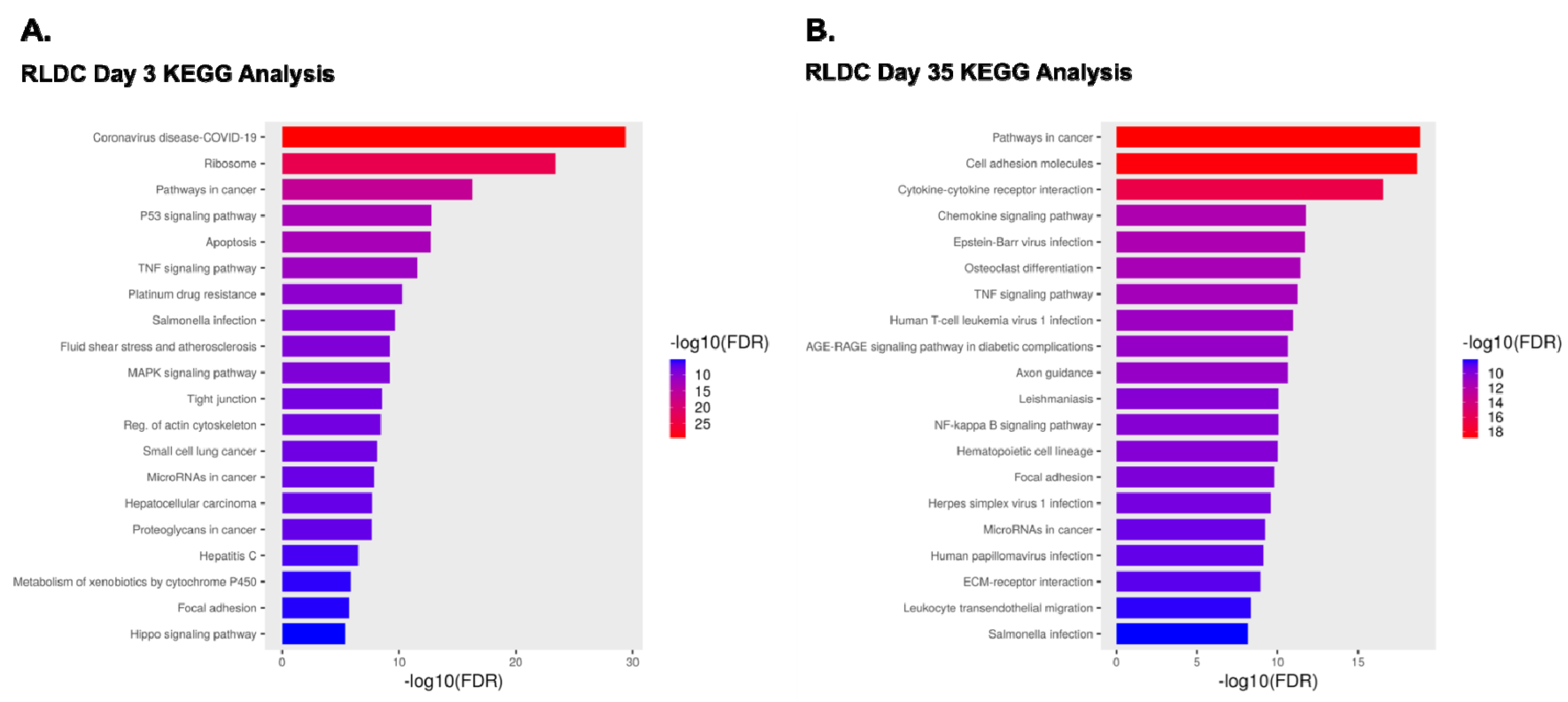 Biomedicines 12 00640 g004