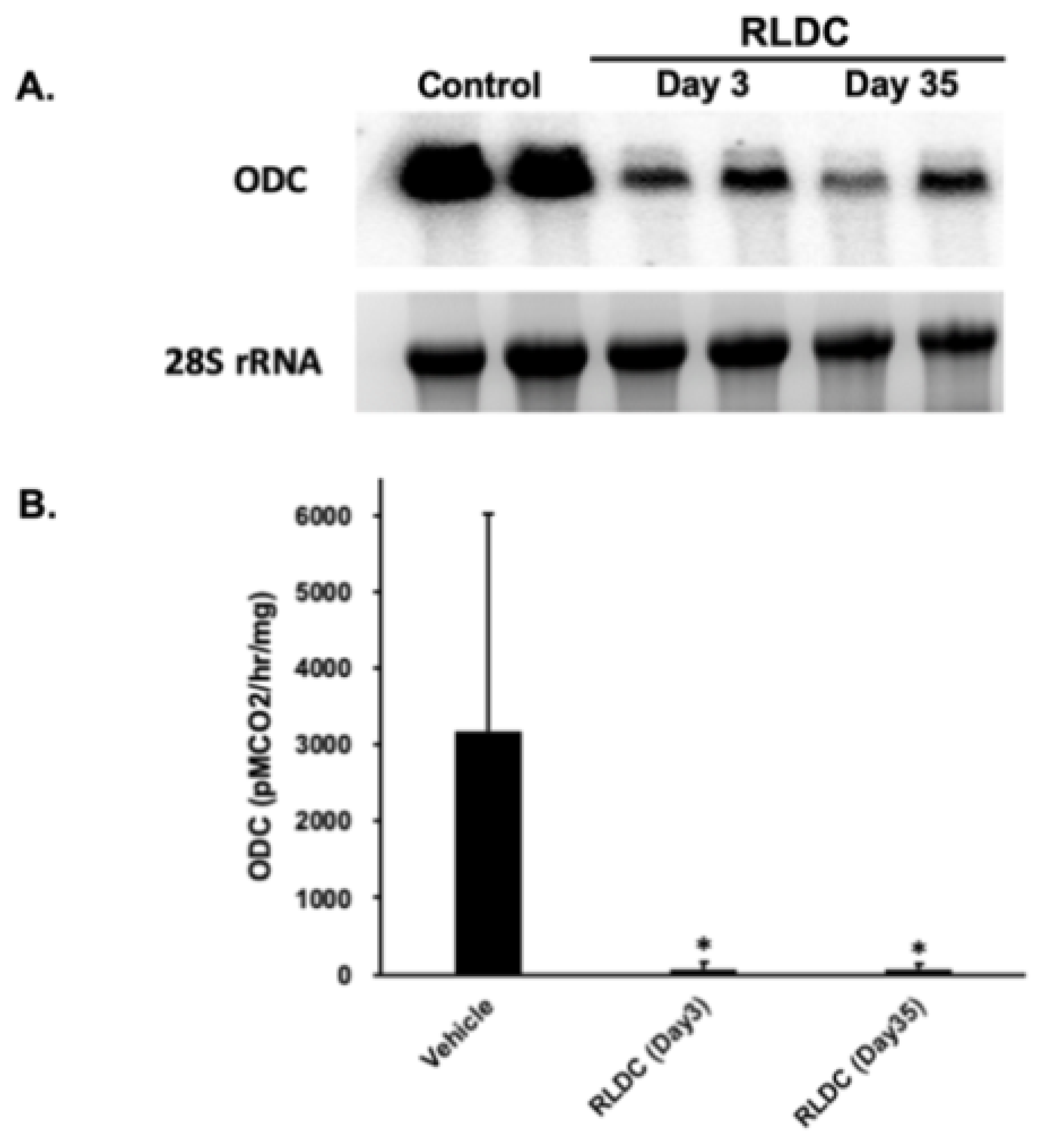 Biomedicines 12 00640 g005