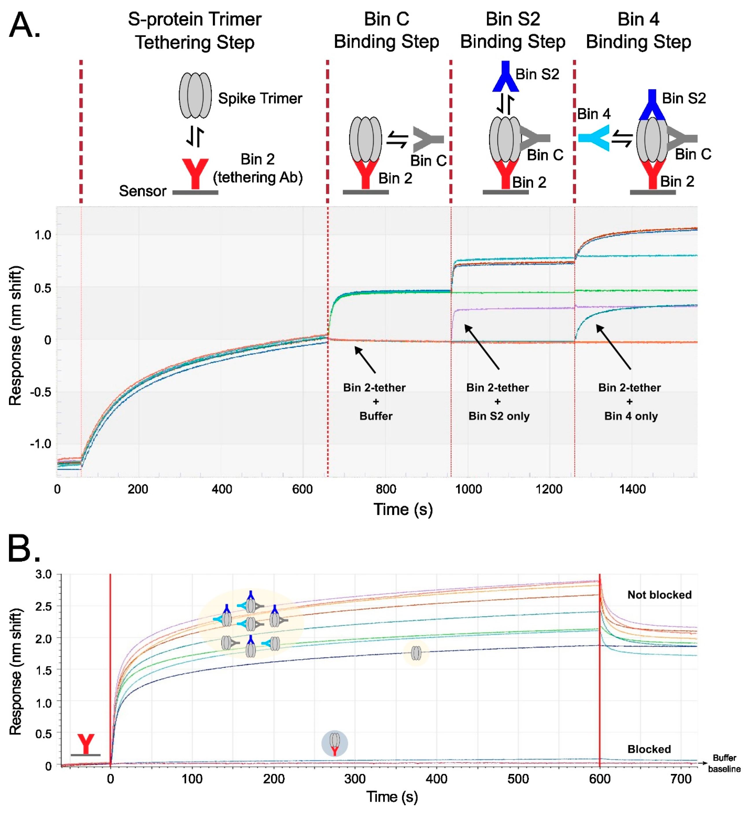 Biomedicines 12 00642 g005
