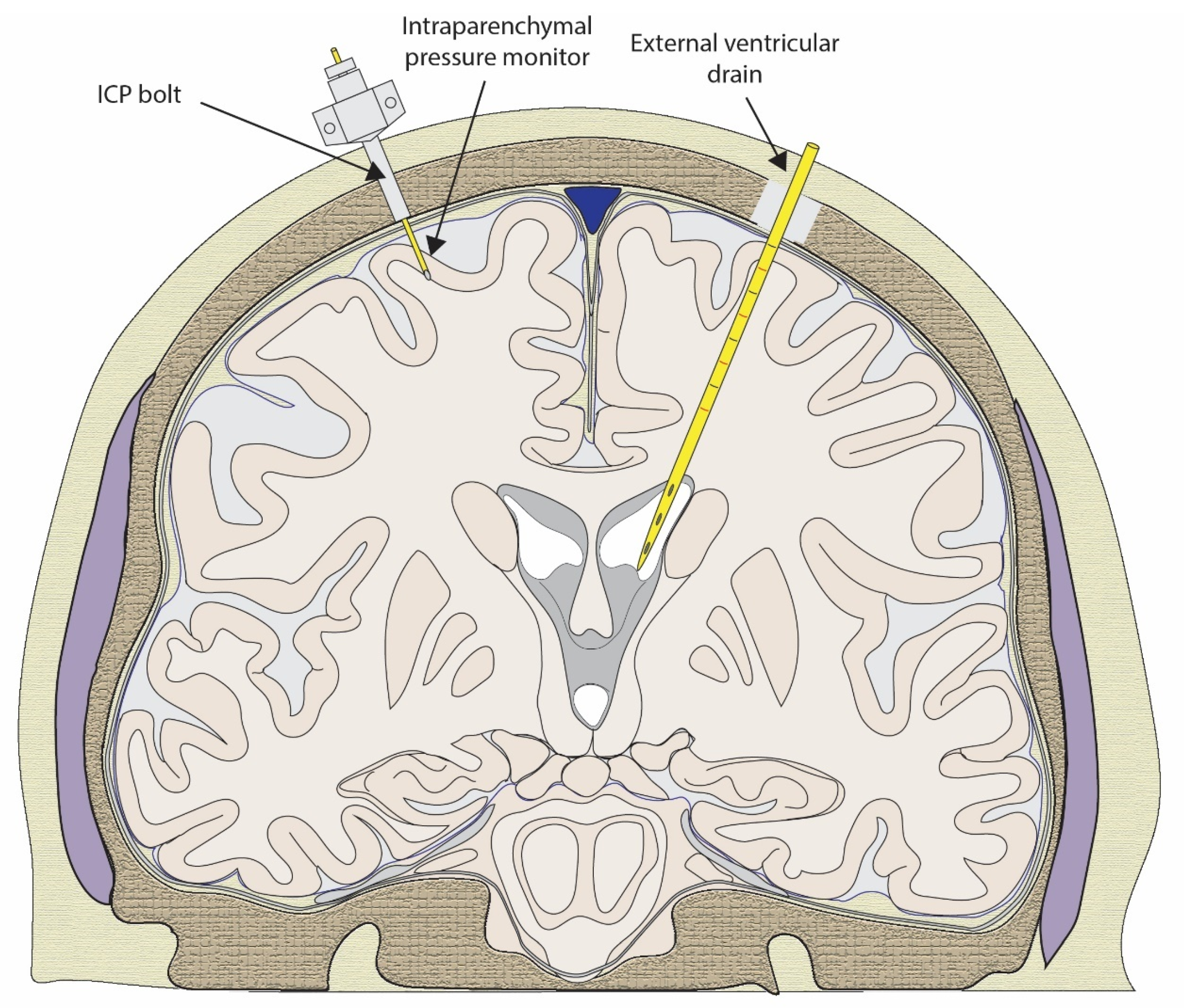 Biomedicines 12 00643 g001