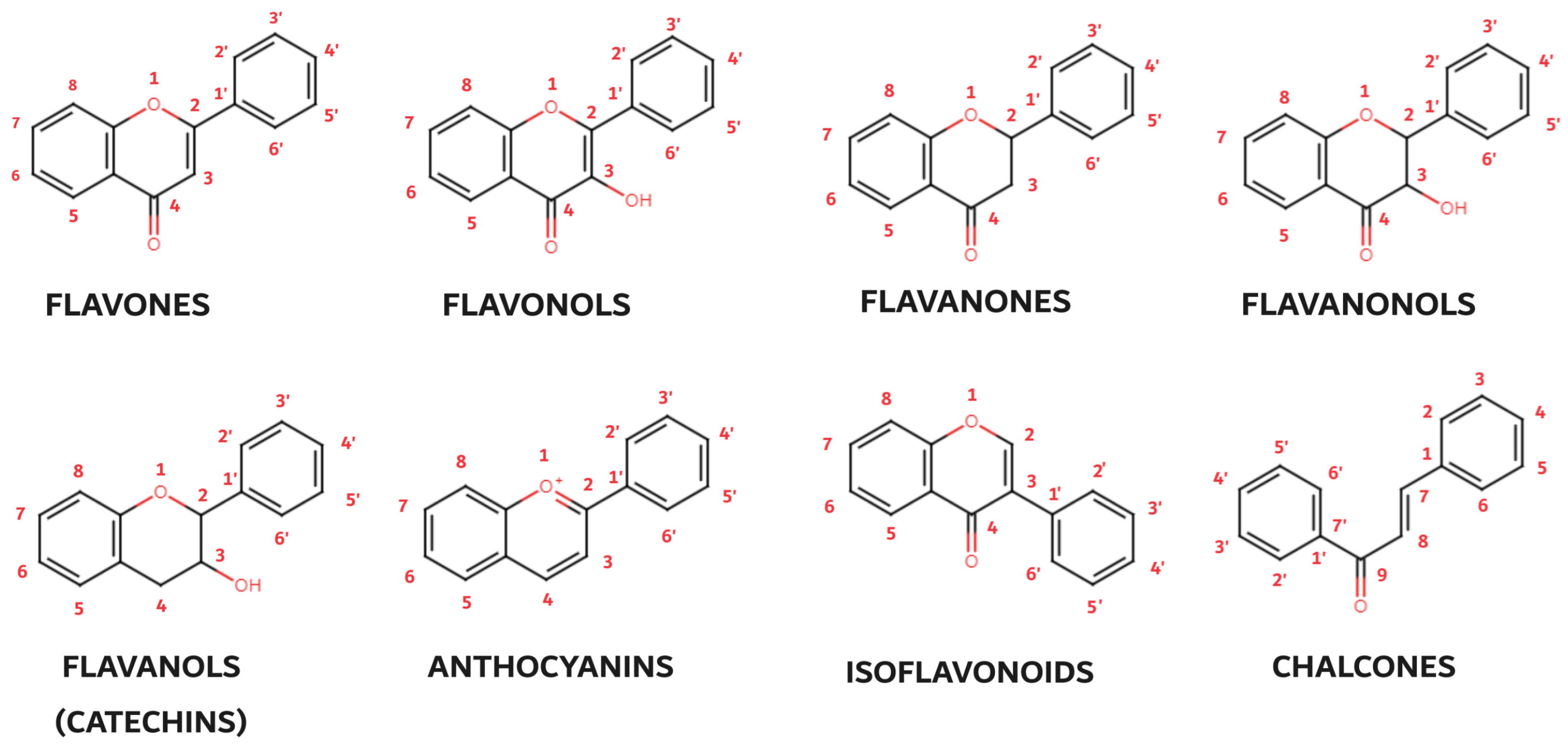 Biomedicines 12 00644 g003