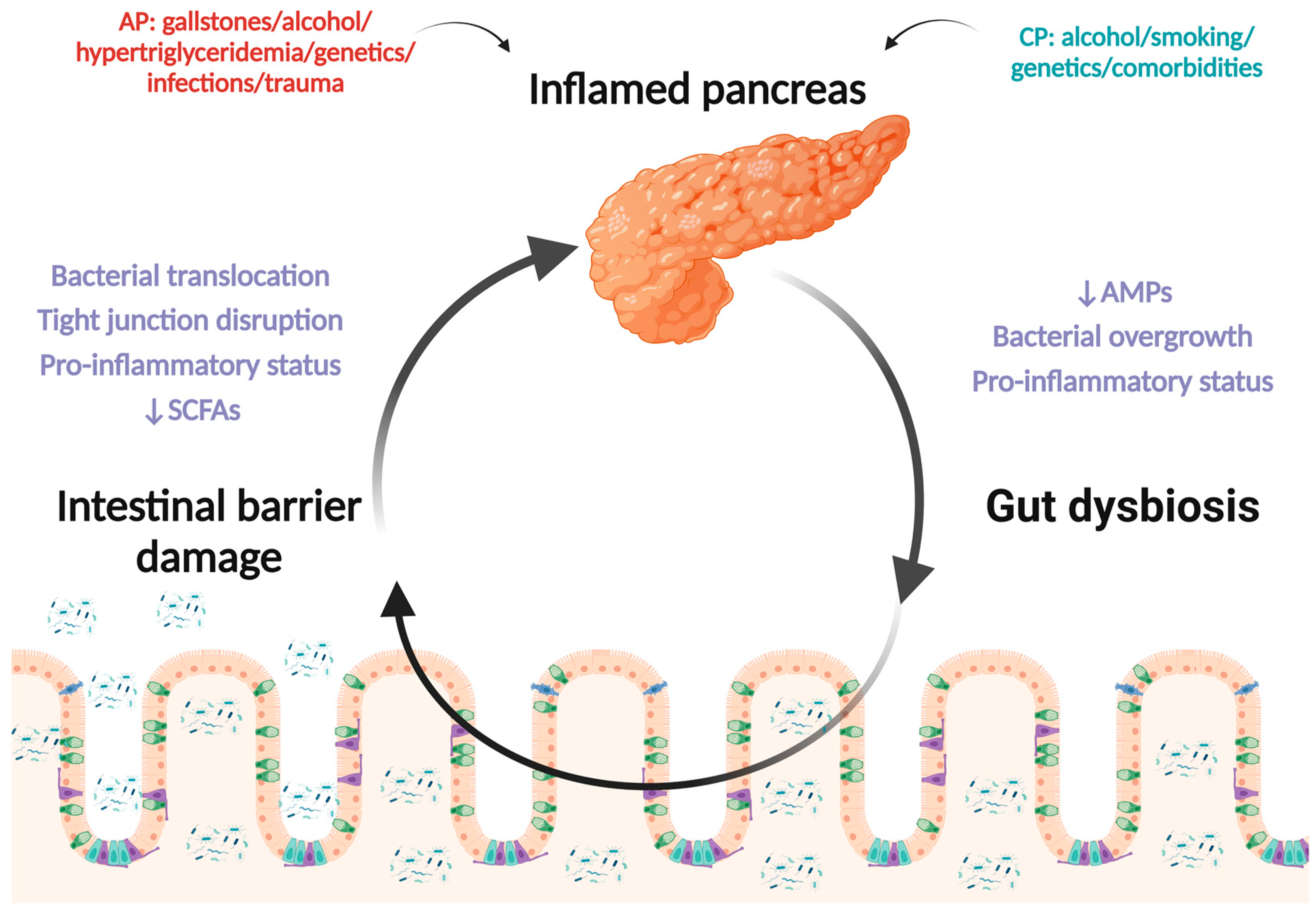 Biomedicines 12 00645 g001