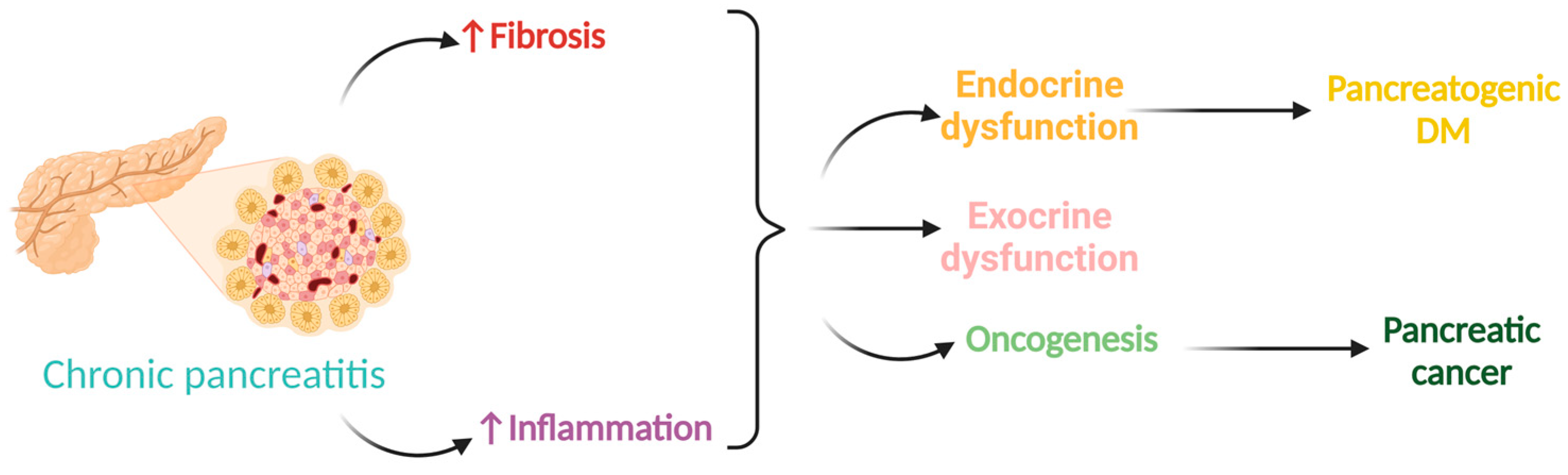 Biomedicines 12 00645 g002