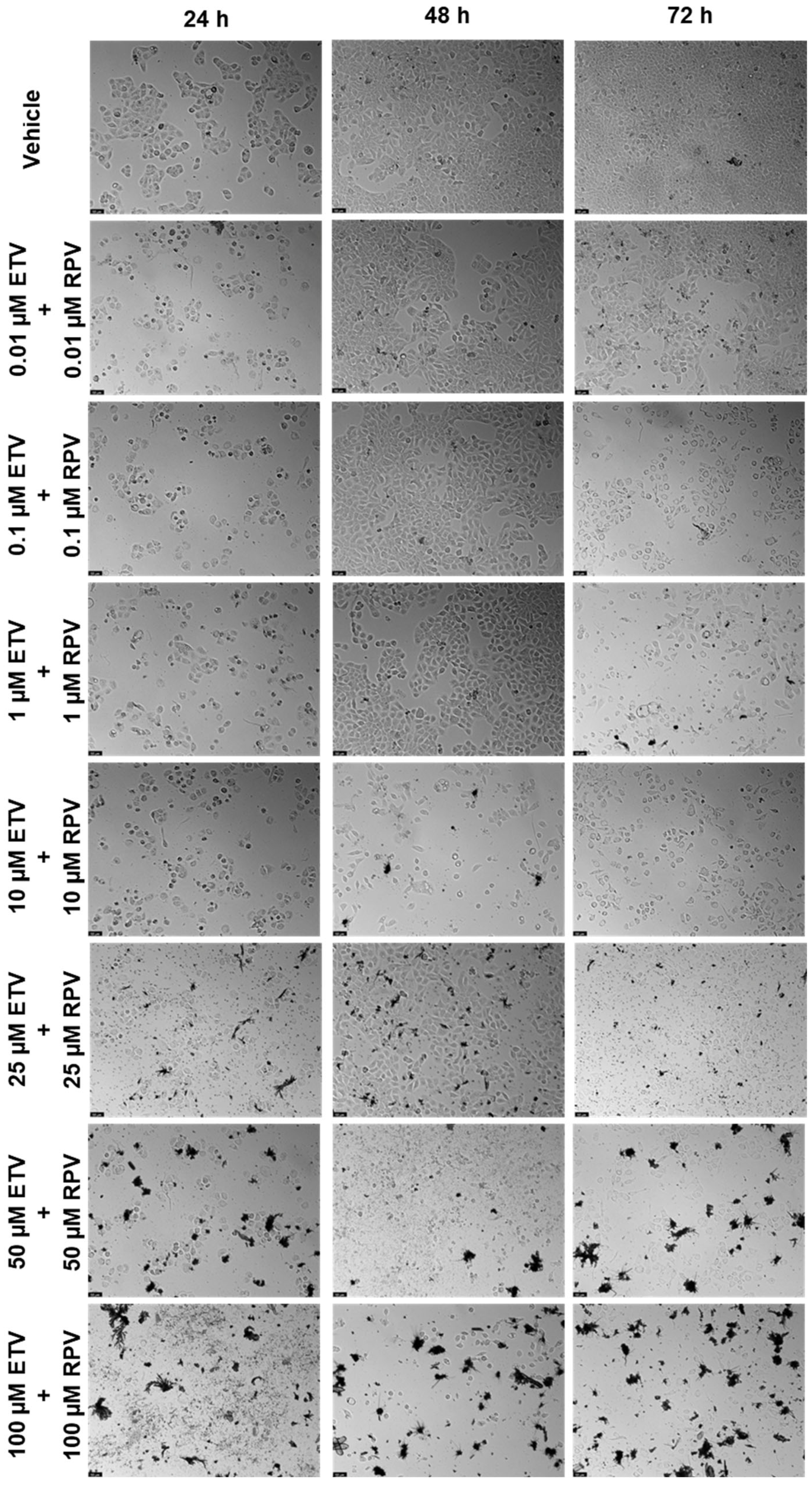 Biomedicines 12 00647 g014