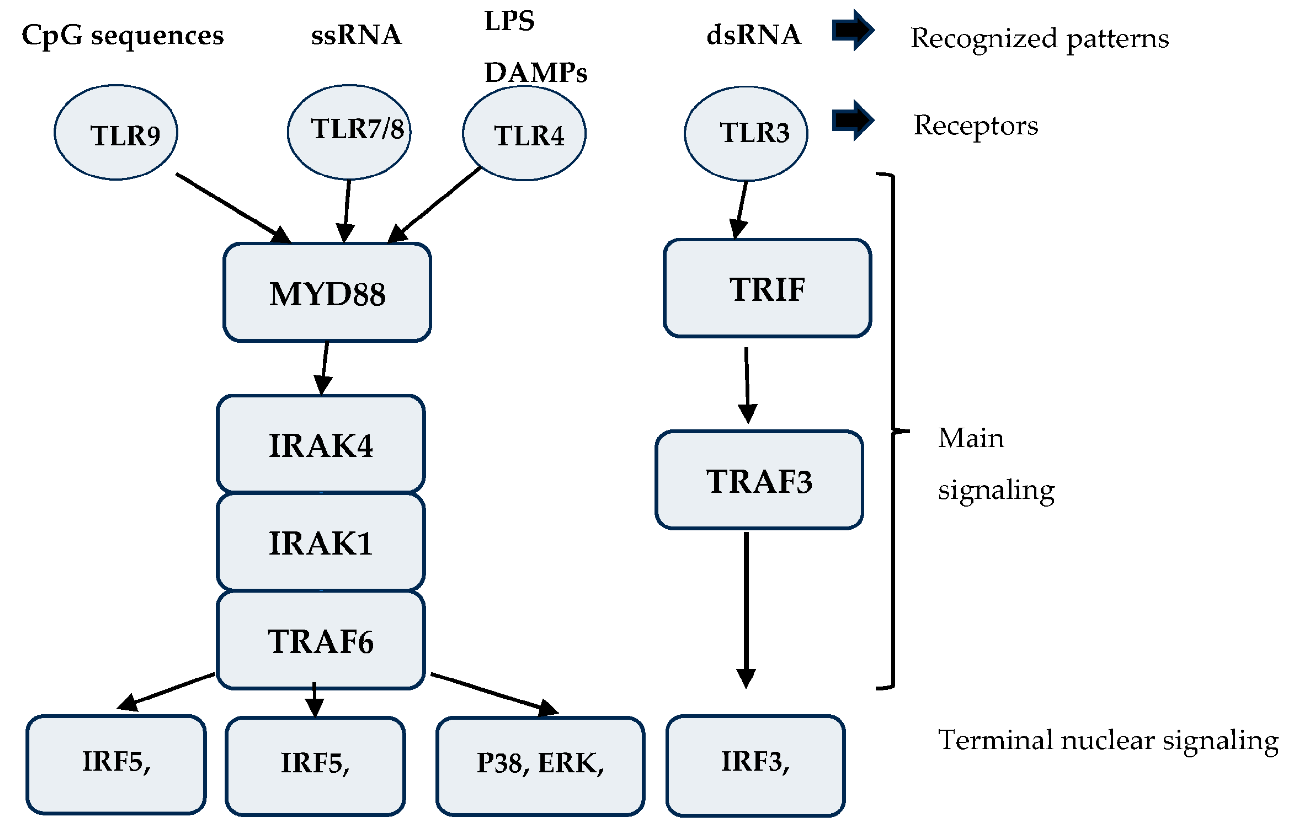 Biomedicines 12 00648 g001