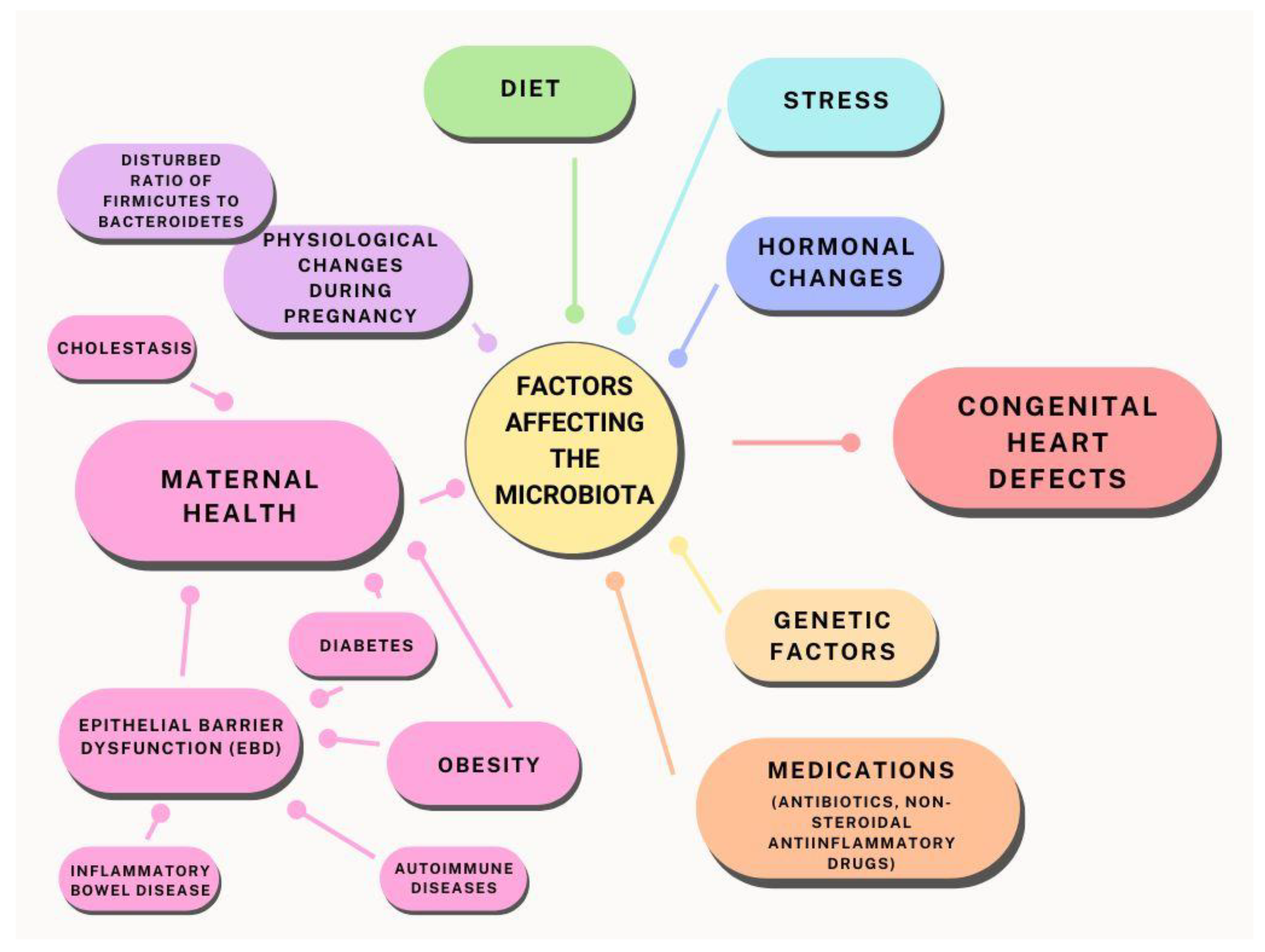 Biomedicines 12 00654 g001