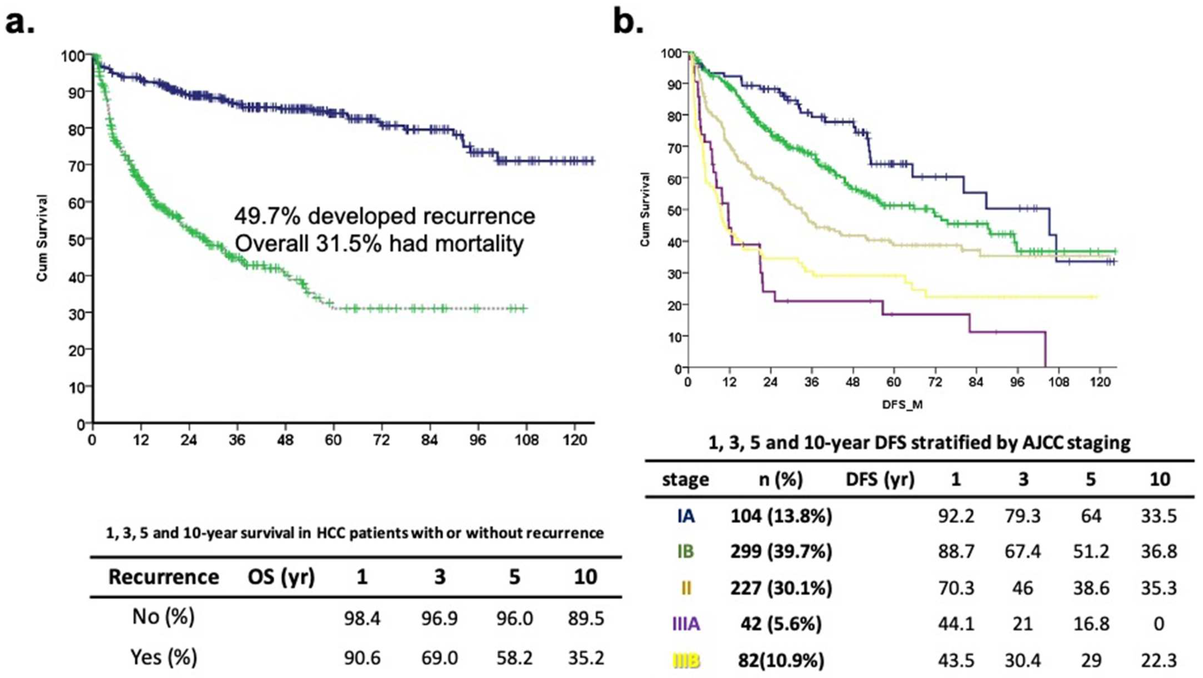 Biomedicines 12 00655 g001