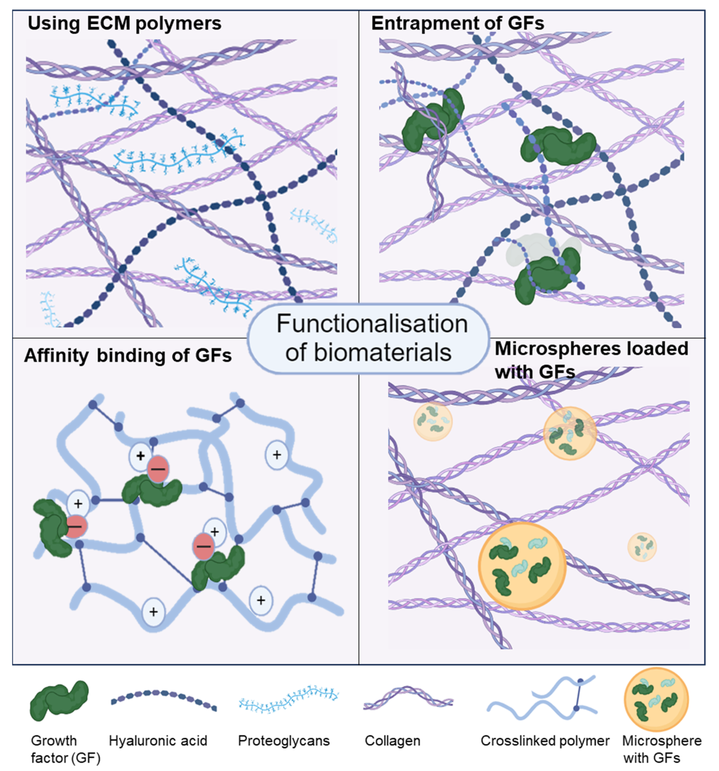Biomedicines 12 00665 g002