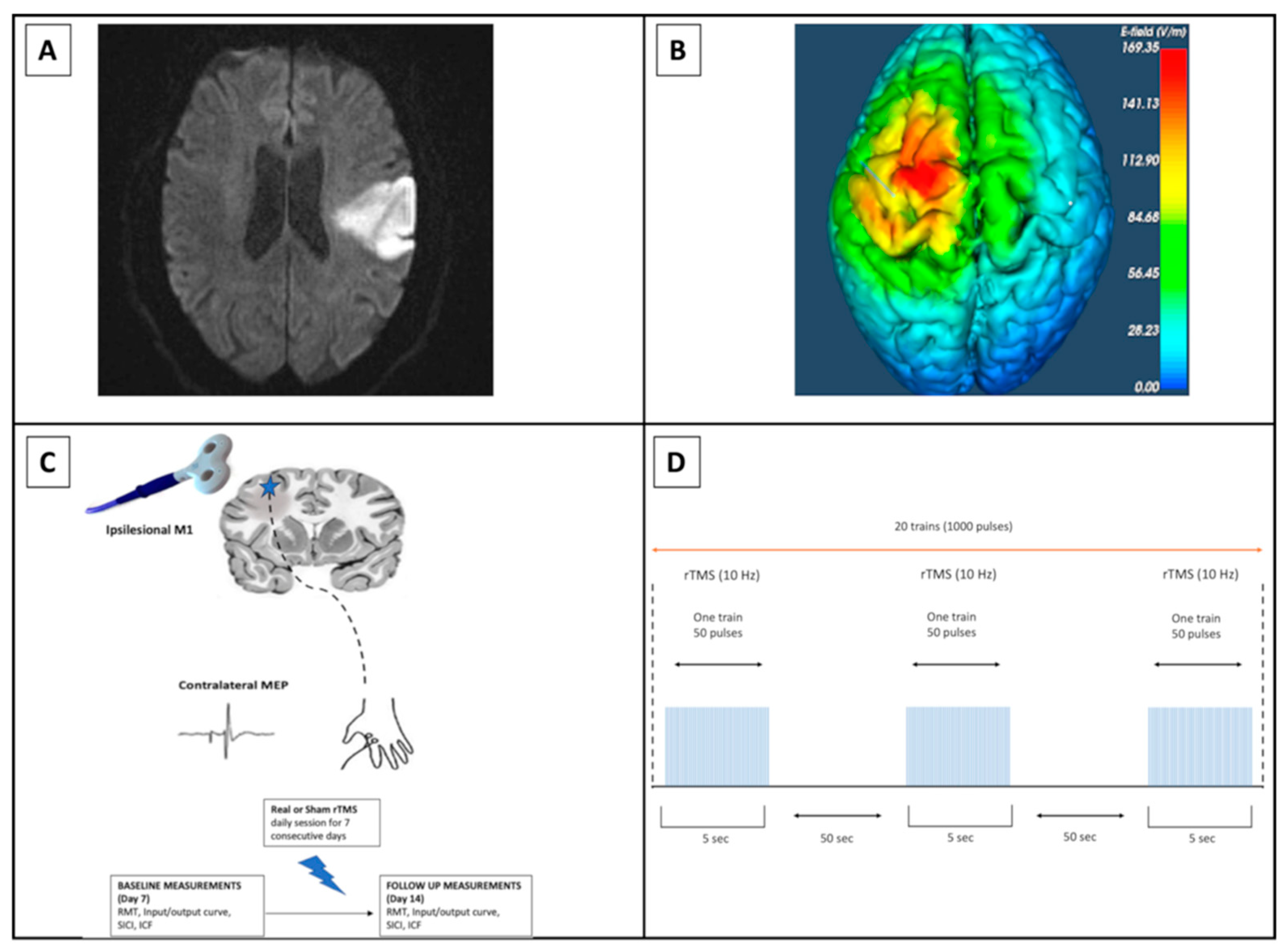 Biomedicines 12 00670 g001