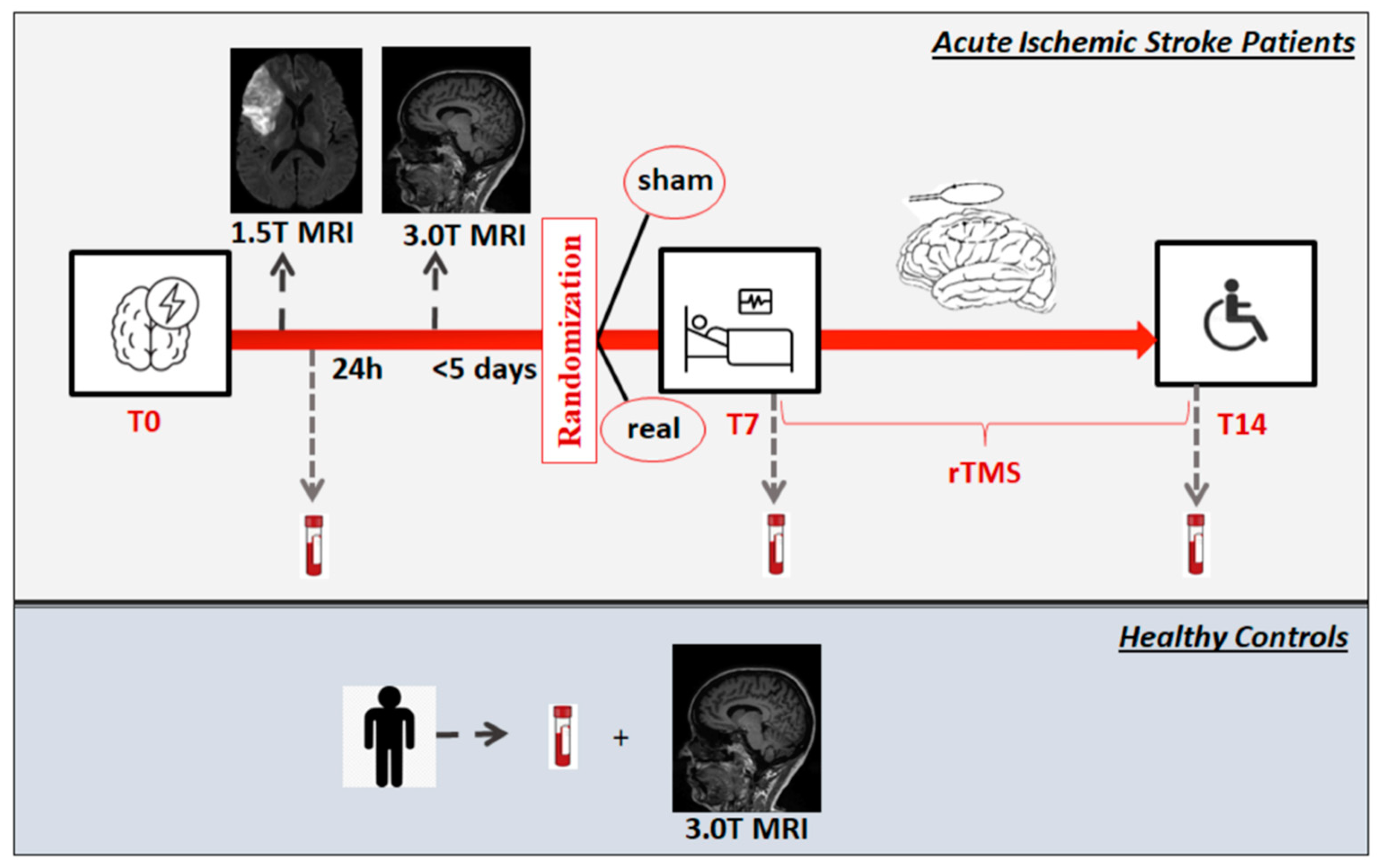 Biomedicines 12 00670 g002