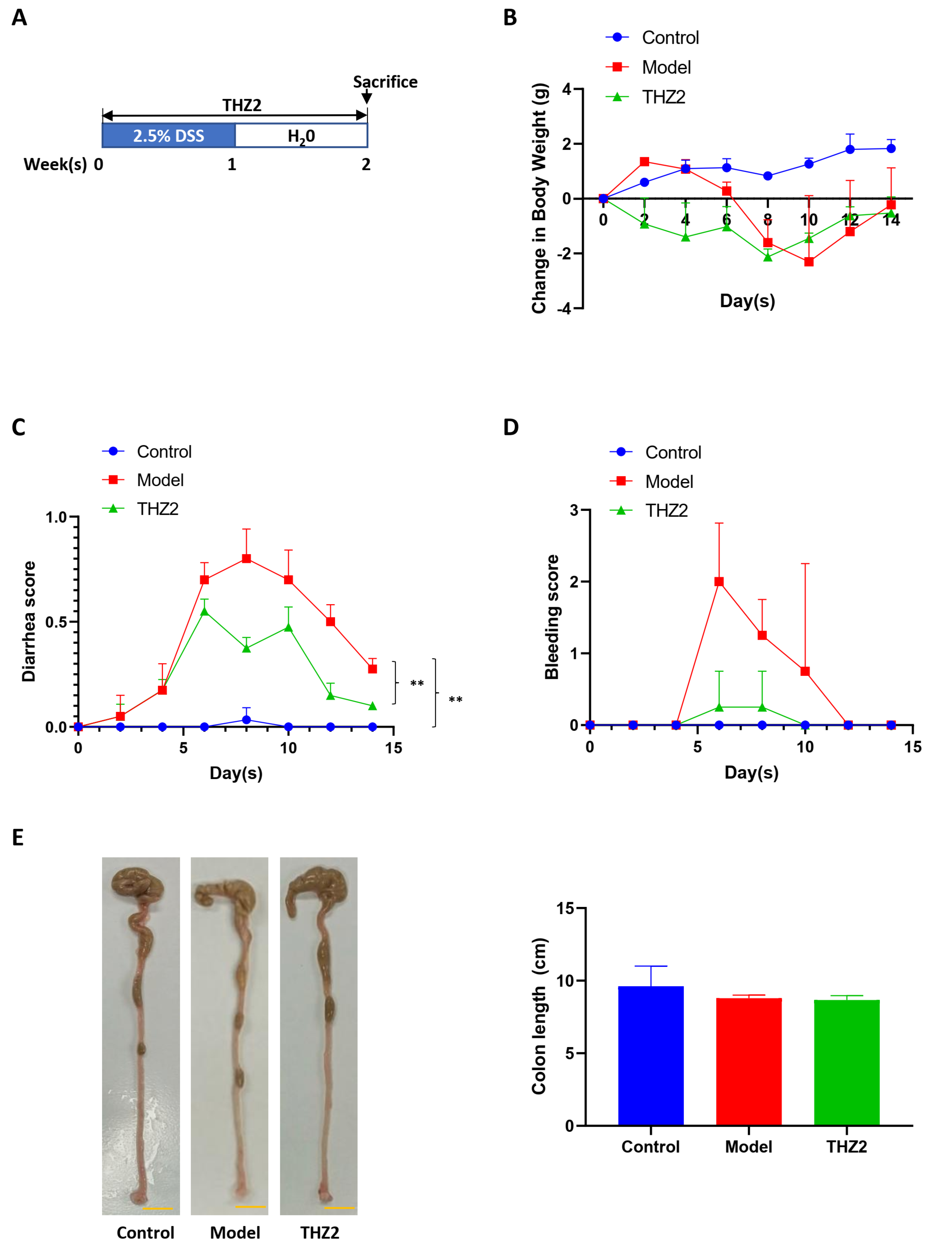 Biomedicines 12 00679 g001
