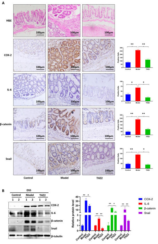 Biomedicines 12 00679 g002
