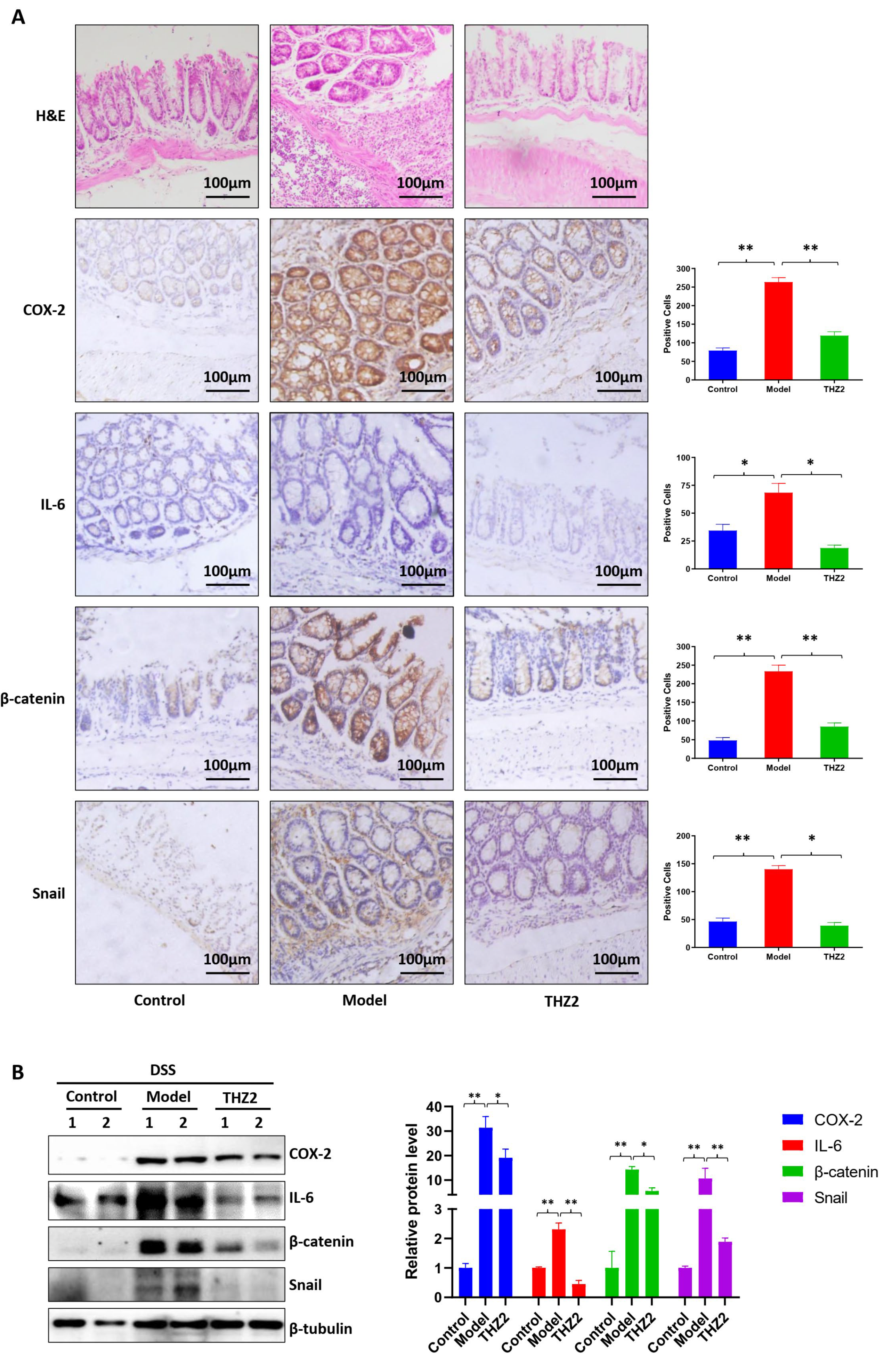 Biomedicines 12 00679 g002