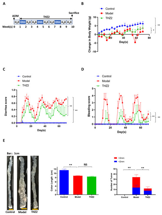 Biomedicines 12 00679 g003